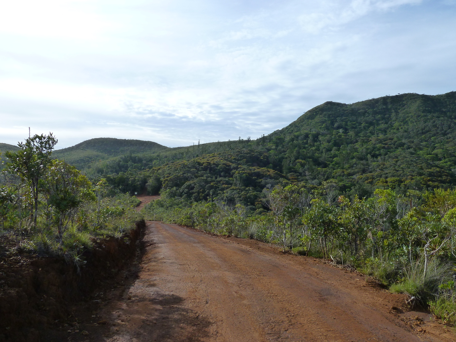รูปถ่าย นิวแคลิโดเนีย(New Caledonia) อุทยานริเวียร์เบลอ(Parc de la Riviere Bleue) 2010-05 115