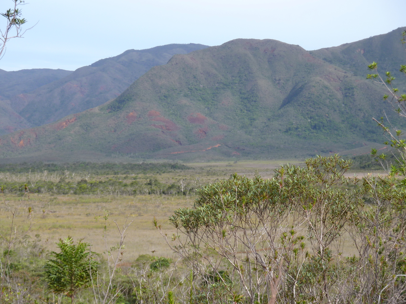 รูปถ่าย นิวแคลิโดเนีย(New Caledonia) อุทยานริเวียร์เบลอ(Parc de la Riviere Bleue) 2010-05 84