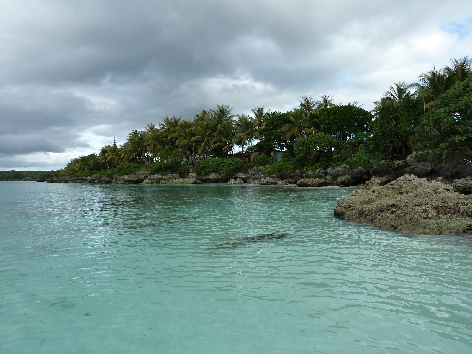 รูปถ่าย นิวแคลิโดเนีย(New Caledonia) เกาะลีฟู(Lifou) เว(We) 2010-05 12