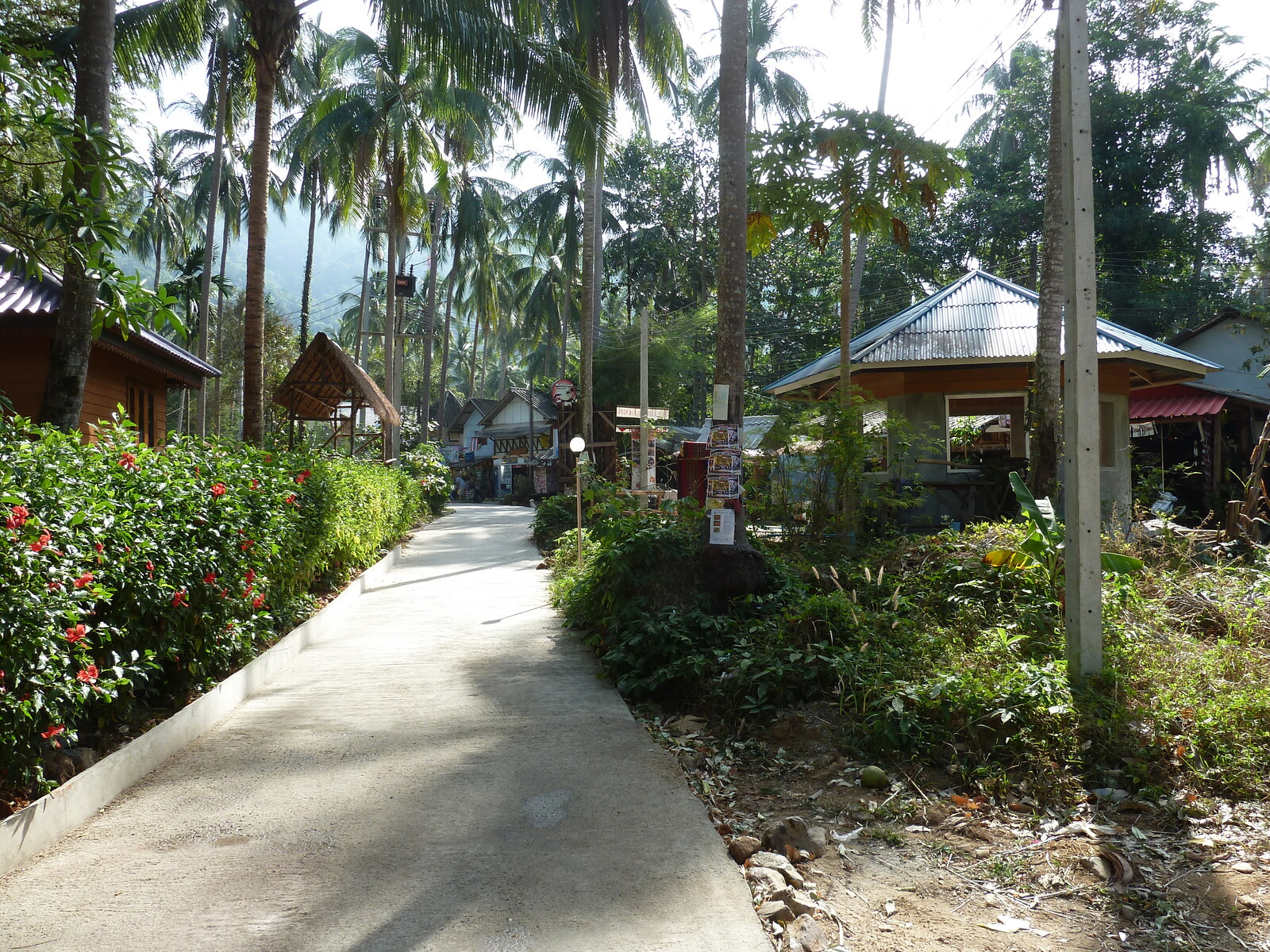 รูปถ่าย ไทย(Thailand) เกาะช้าง(Ko Chang) 2011-12 136