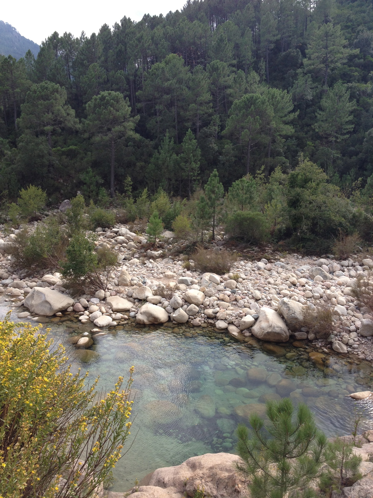รูปถ่าย ฝรั่งเศส(France) คอร์สิคา(Corsica) โซเลนซารา(Solenzara) 2012-09 11