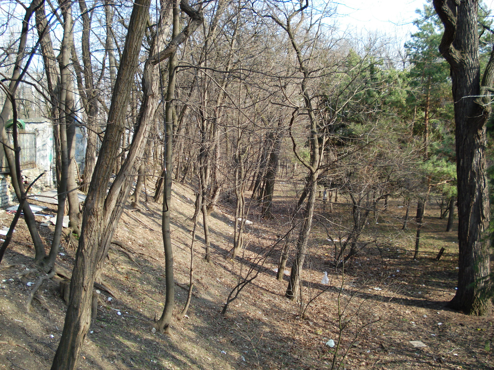 รูปถ่าย ยูเครน(Ukraine) เคียฟ(Kiev) เชฟเชนกา(Shevchenka) 2007-03 15