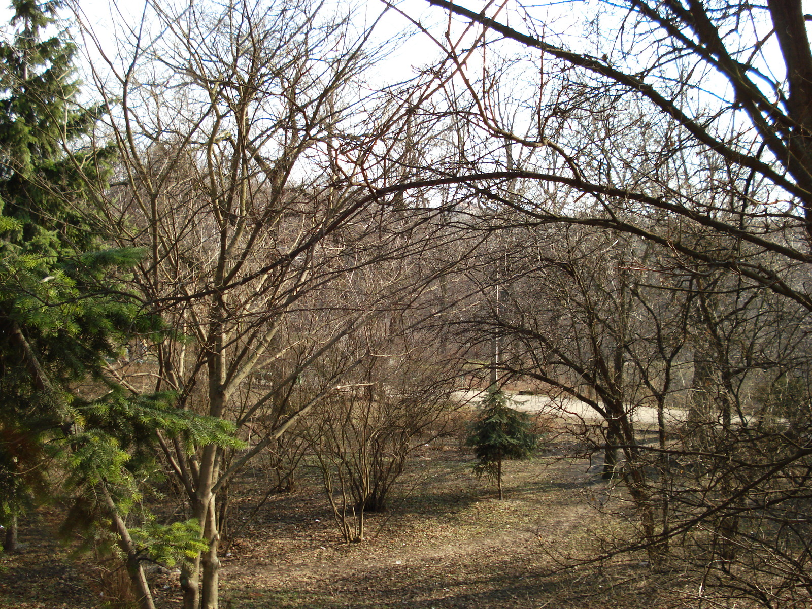 รูปถ่าย ยูเครน(Ukraine) เคียฟ(Kiev) เชฟเชนกา(Shevchenka) 2007-03 20