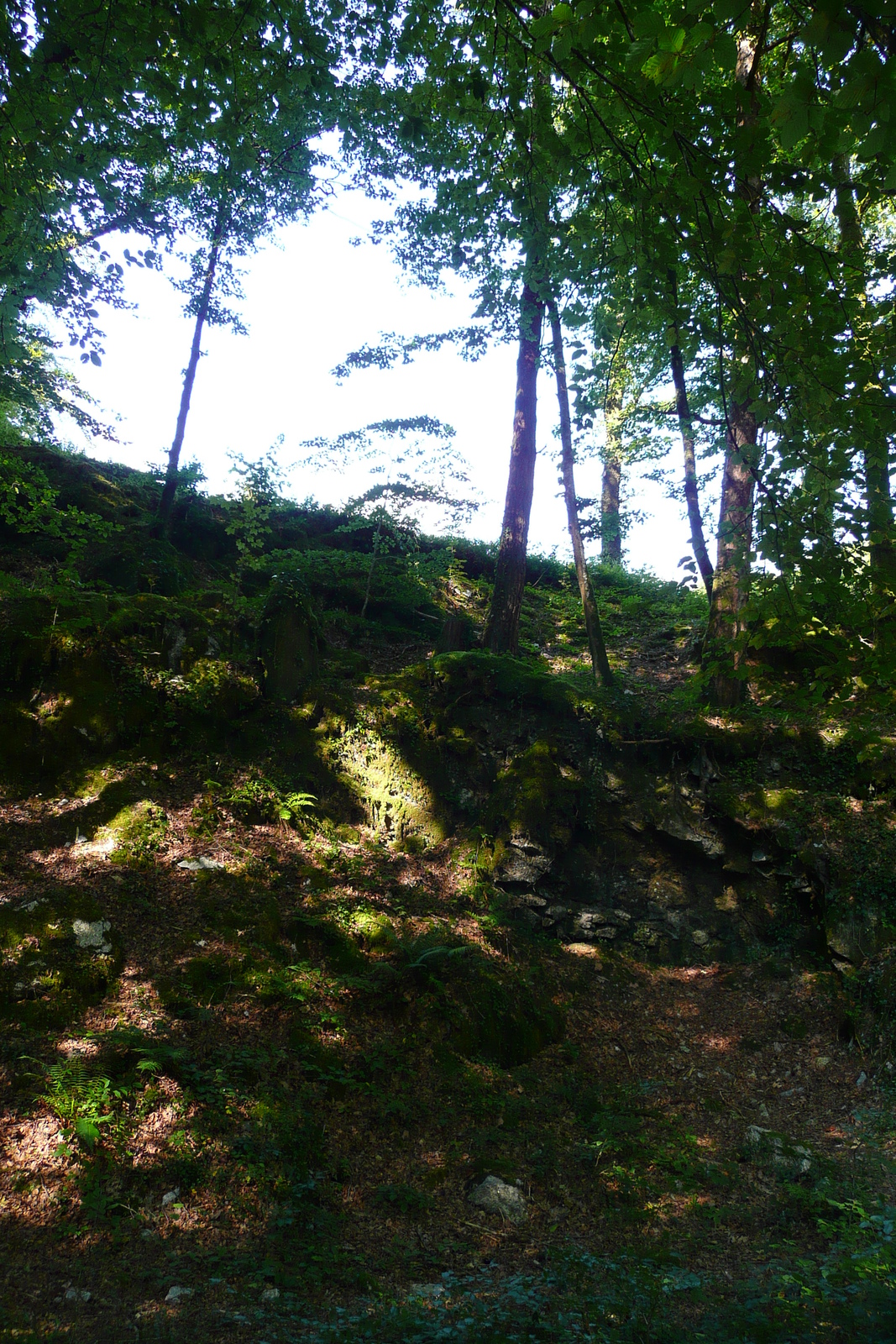 รูปถ่าย ฝรั่งเศส(France) อูแอลโกแอท(Huelgoat) 2007-08 6