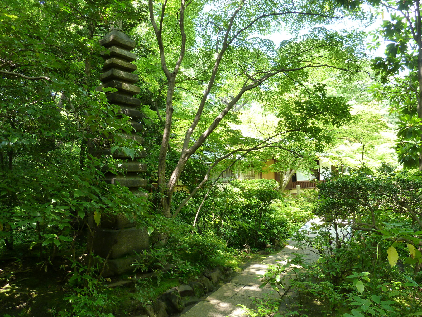 รูปถ่าย ญี่ปุ่น(Japan) โตเกียว(Tokyo) พิพิธภัณฑ์เนซุ(Nezu Museum) 2010-06 53