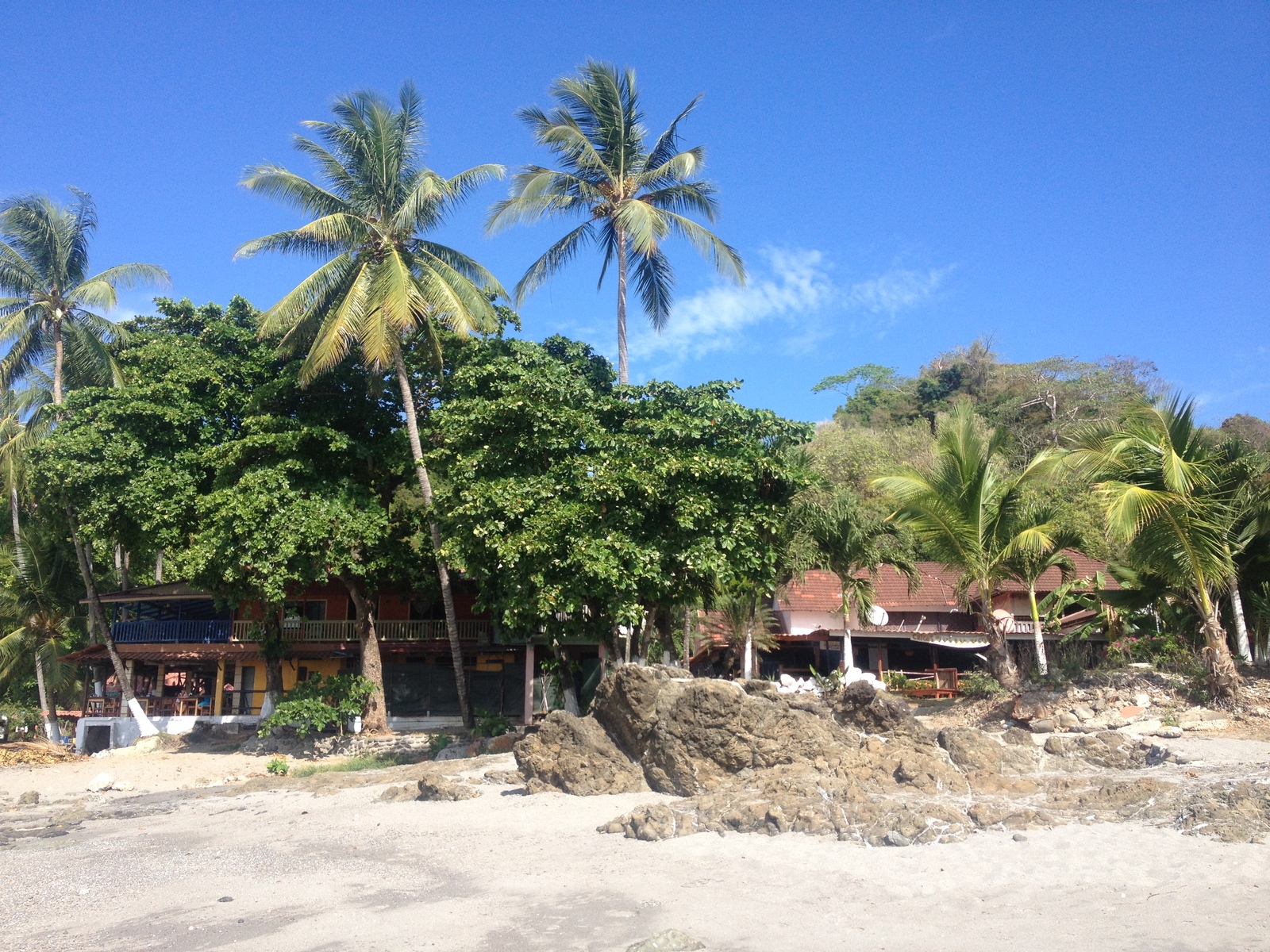 รูปถ่าย คอสตาริกา(Costa Rica) มอนเตซูมา(Montezuma) 2015-03 10
