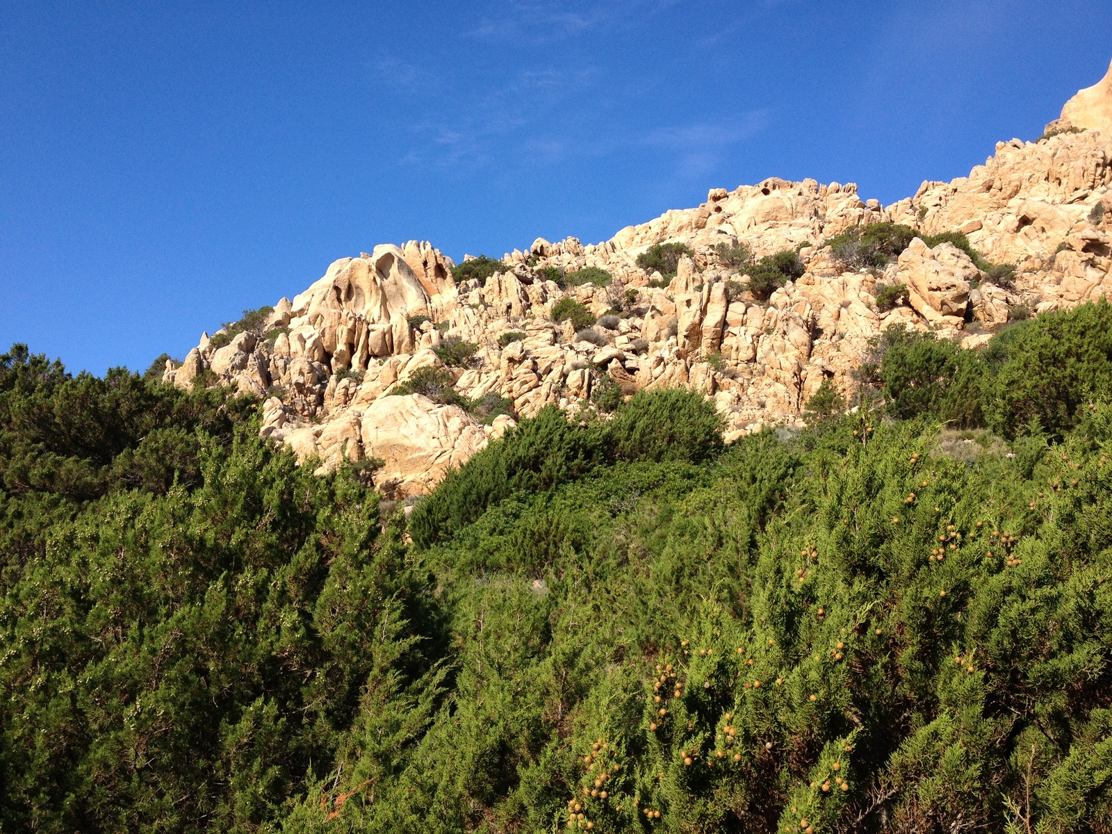 รูปถ่าย อิตาลี(Italy) อ่าวกาลาโกตีชโช(Cala Coticcio) 2012-09 69