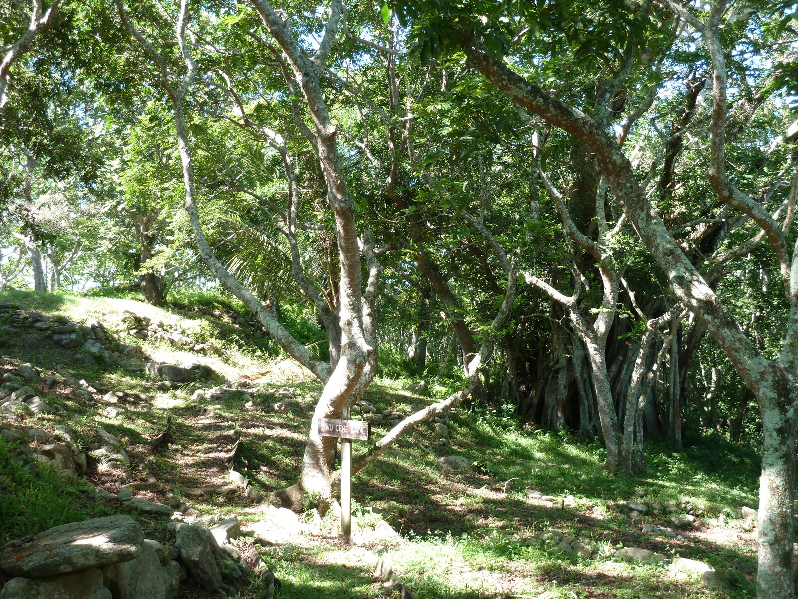 รูปถ่าย ฟิจิ(Fiji) ป้อมเนินเขาตาวูนี(Tavuni Hill Fort) 2010-05 18