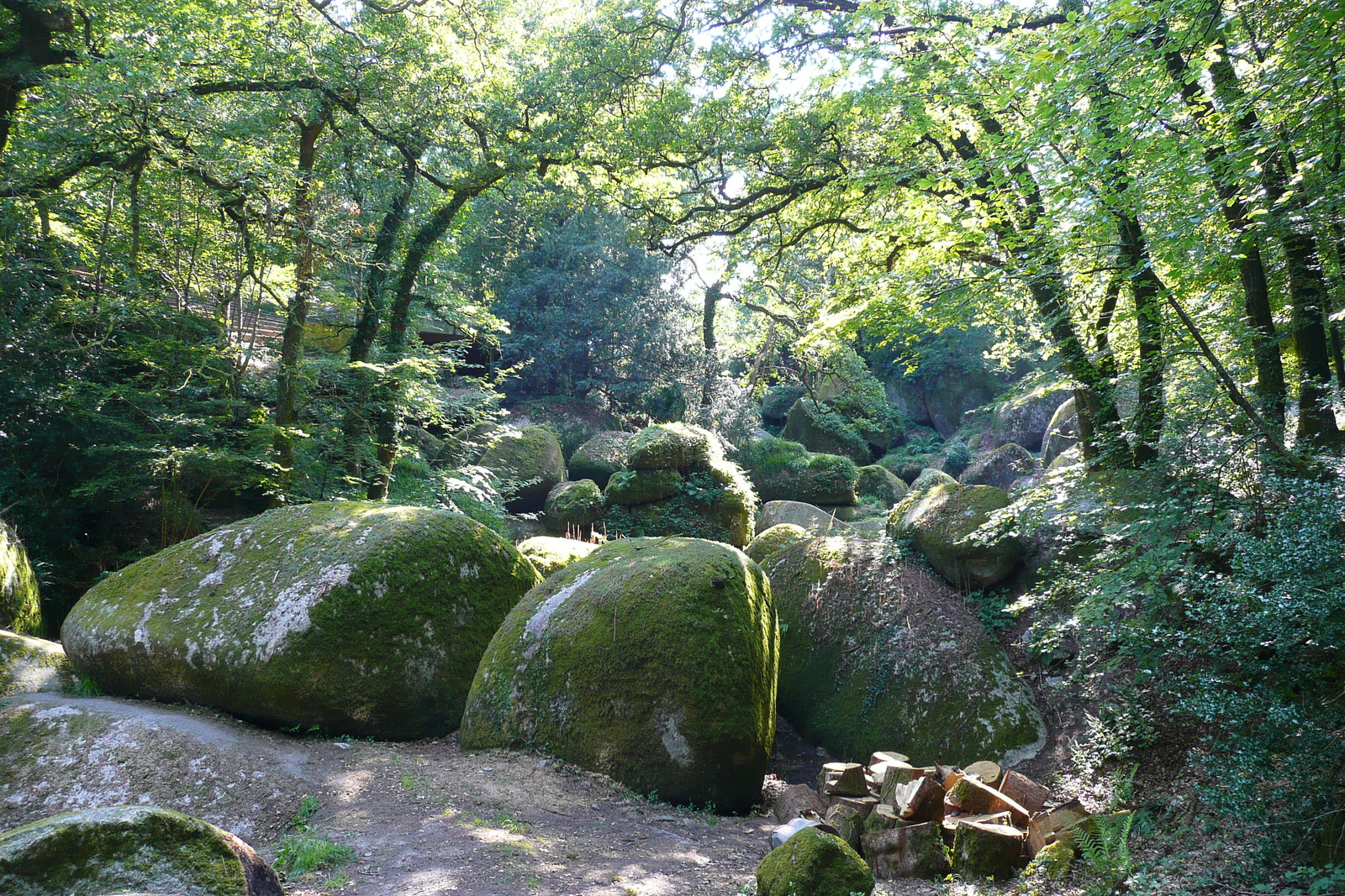 รูปถ่าย ฝรั่งเศส(France) อูแอลโกแอท(Huelgoat) 2007-08 17