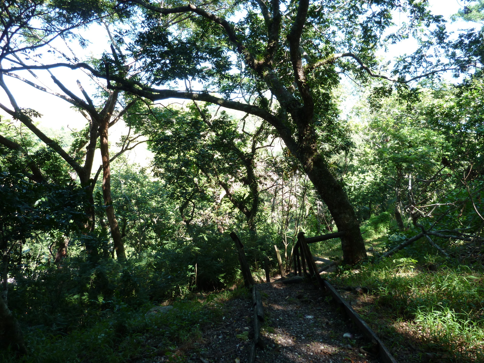 รูปถ่าย ฟิจิ(Fiji) ป้อมเนินเขาตาวูนี(Tavuni Hill Fort) 2010-05 31