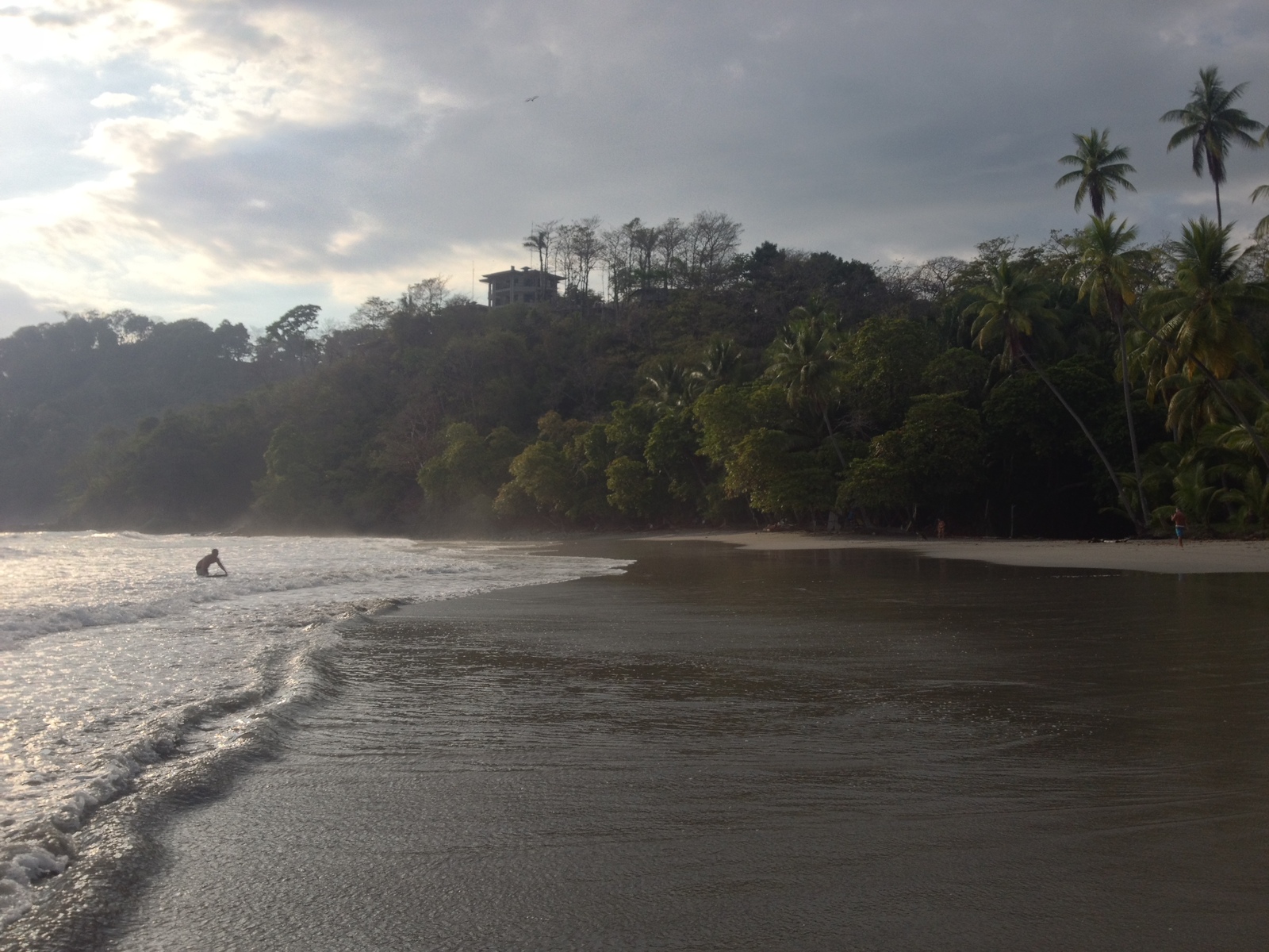 รูปถ่าย คอสตาริกา(Costa Rica) มานวยล์อันโตนีโอ(Manuel Antonio) 2015-03 296