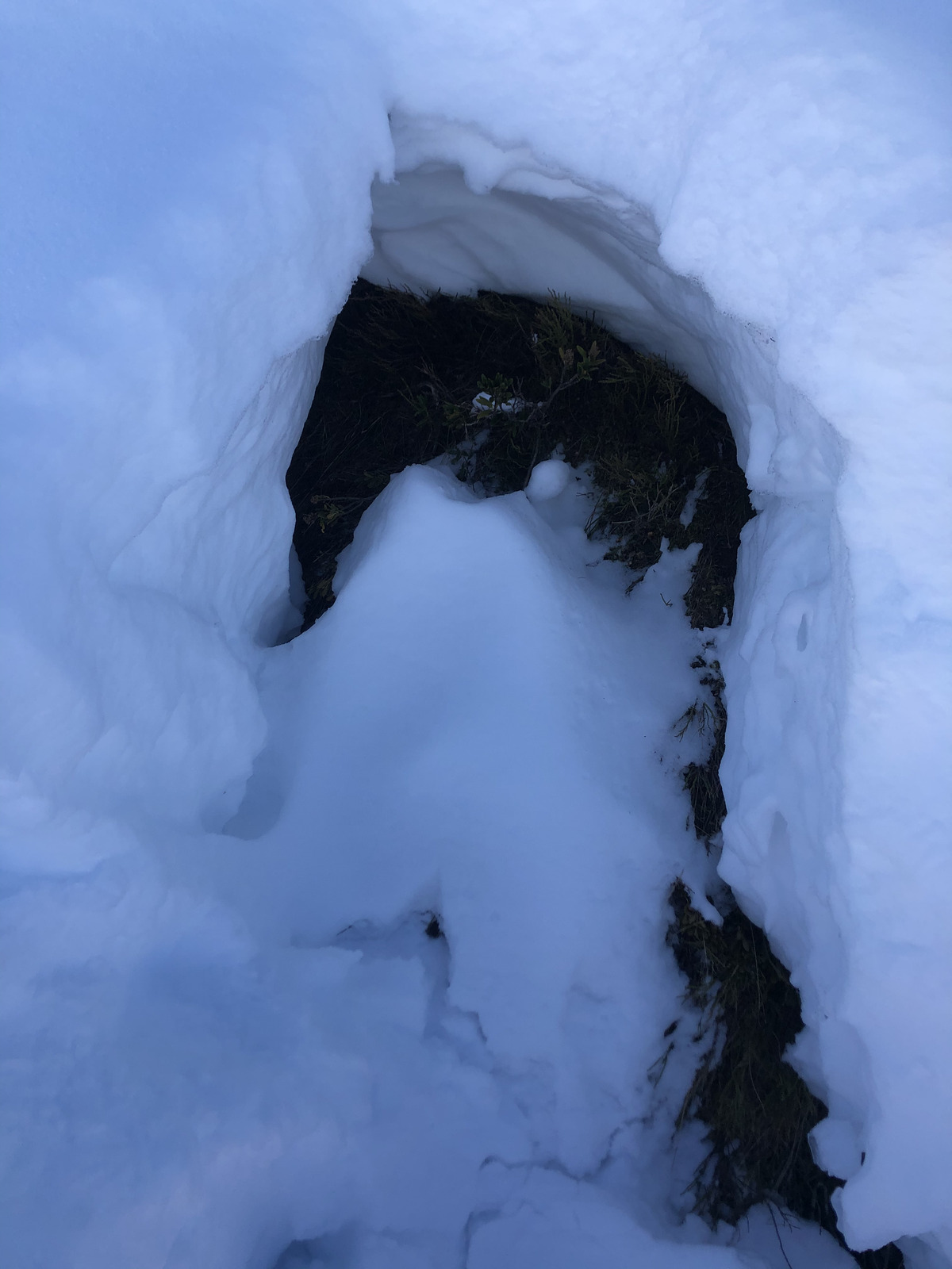 รูปถ่าย ฝรั่งเศส(France) ปรา-ซูร์-อาร์ลี(Praz sur Arly) 2019-12 297