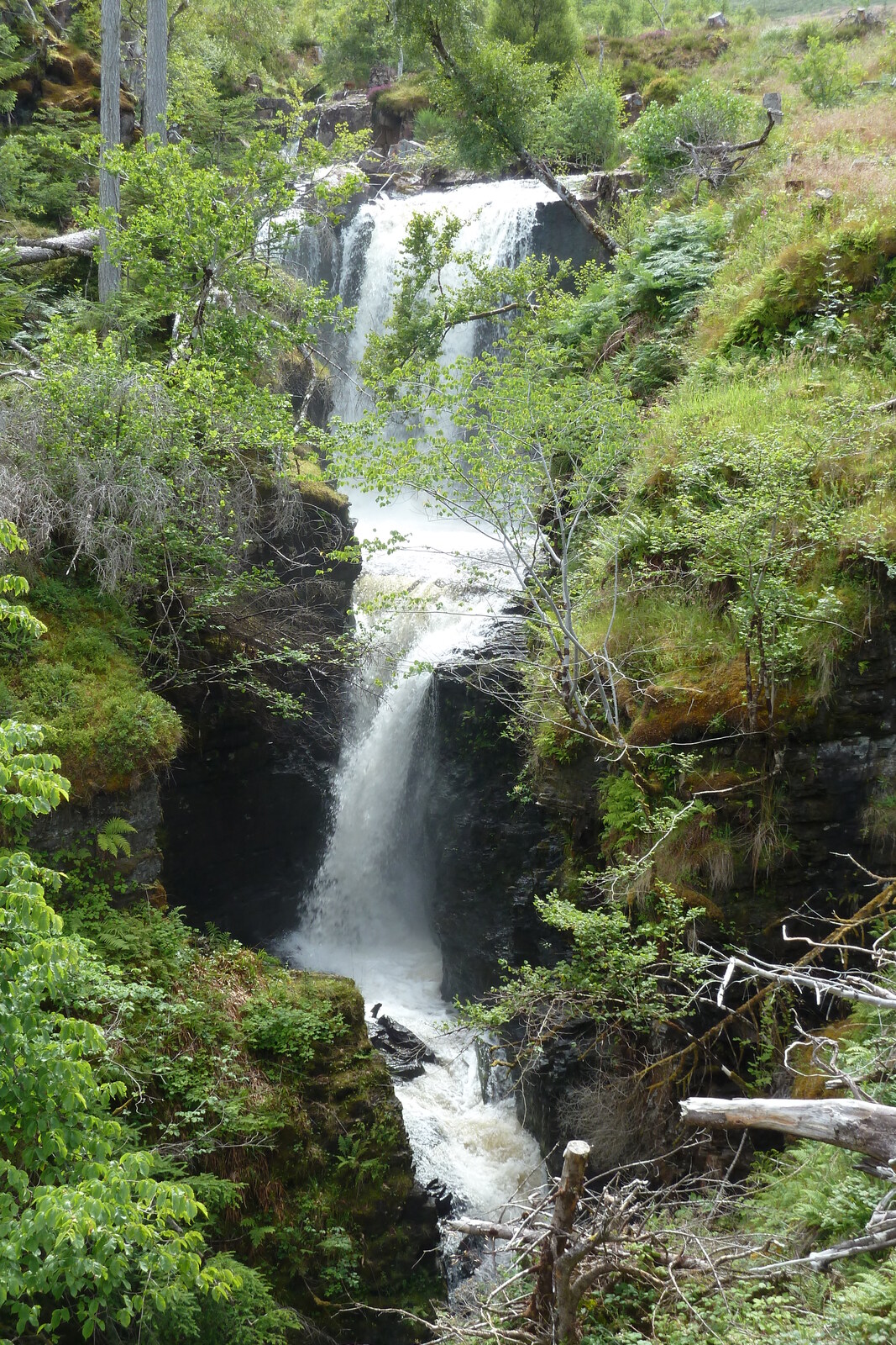 รูปถ่าย อังกฤษ(United Kingdom) สกอตแลนด์(Scotland) 2011-07 84