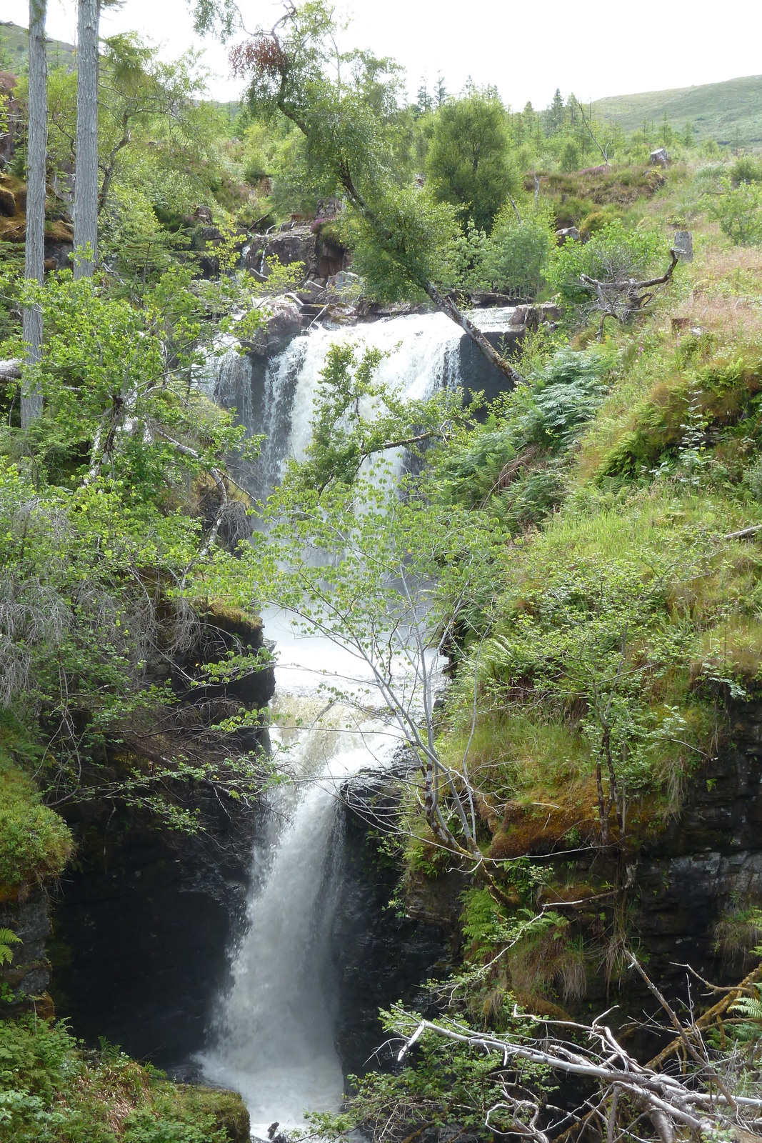 รูปถ่าย อังกฤษ(United Kingdom) สกอตแลนด์(Scotland) ทะเลสาบลอคมารี(Loch Maree) 2011-07 9