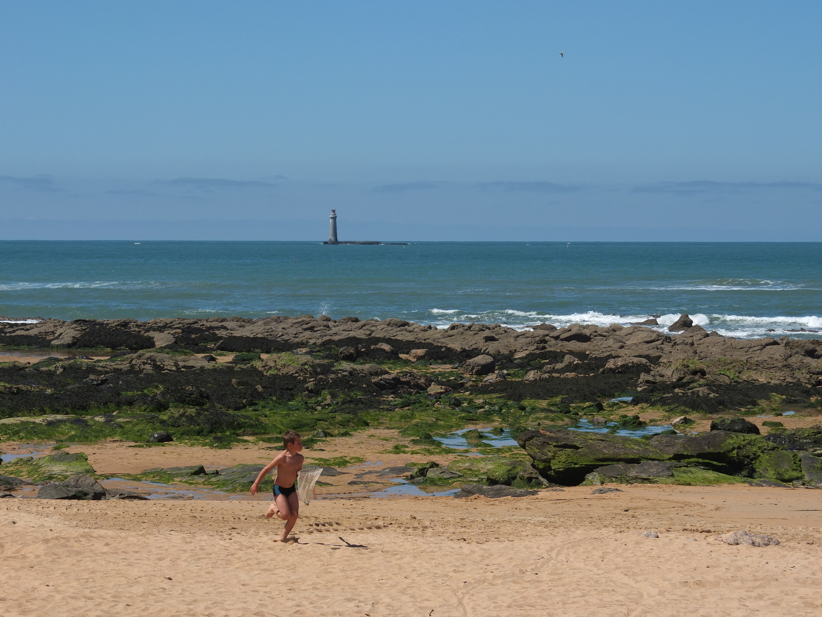 รูปถ่าย ฝรั่งเศส(France) เลซาเบลอโดลอน(Les Sables d'Olonne) 2012-07 49