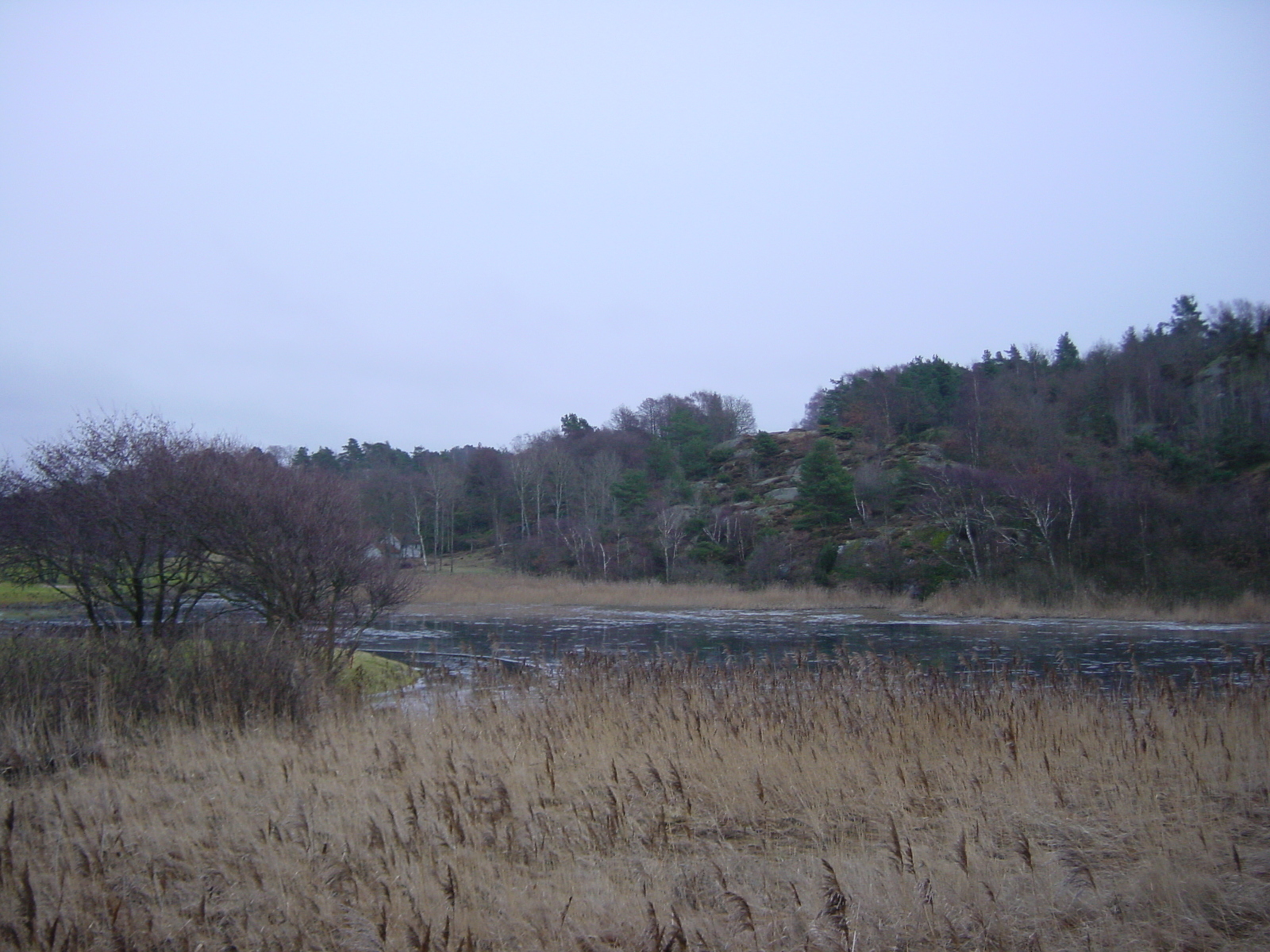 รูปถ่าย สวีเดน(Sweden) โกเธนเบิร์ก(Gothenburg) 2003-01 37