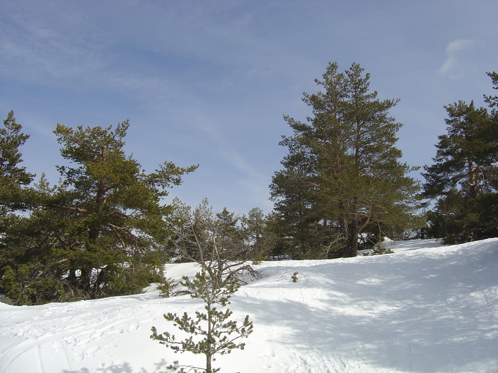 รูปถ่าย ฝรั่งเศส(France) เกรโอลีแยร์(Greolieres) 2006-02 15