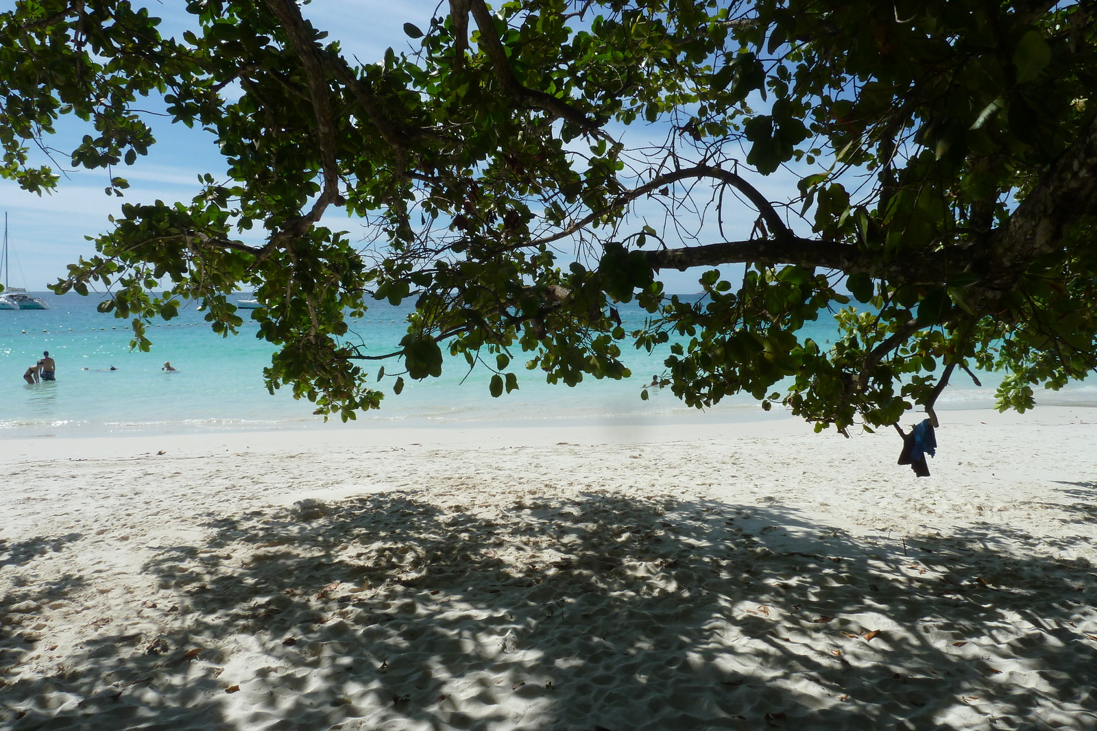 รูปถ่าย เซเชลส์(Seychelles) อ่าวอ็องส์ลาซิโอ(Anse Lazio) 2011-10 166