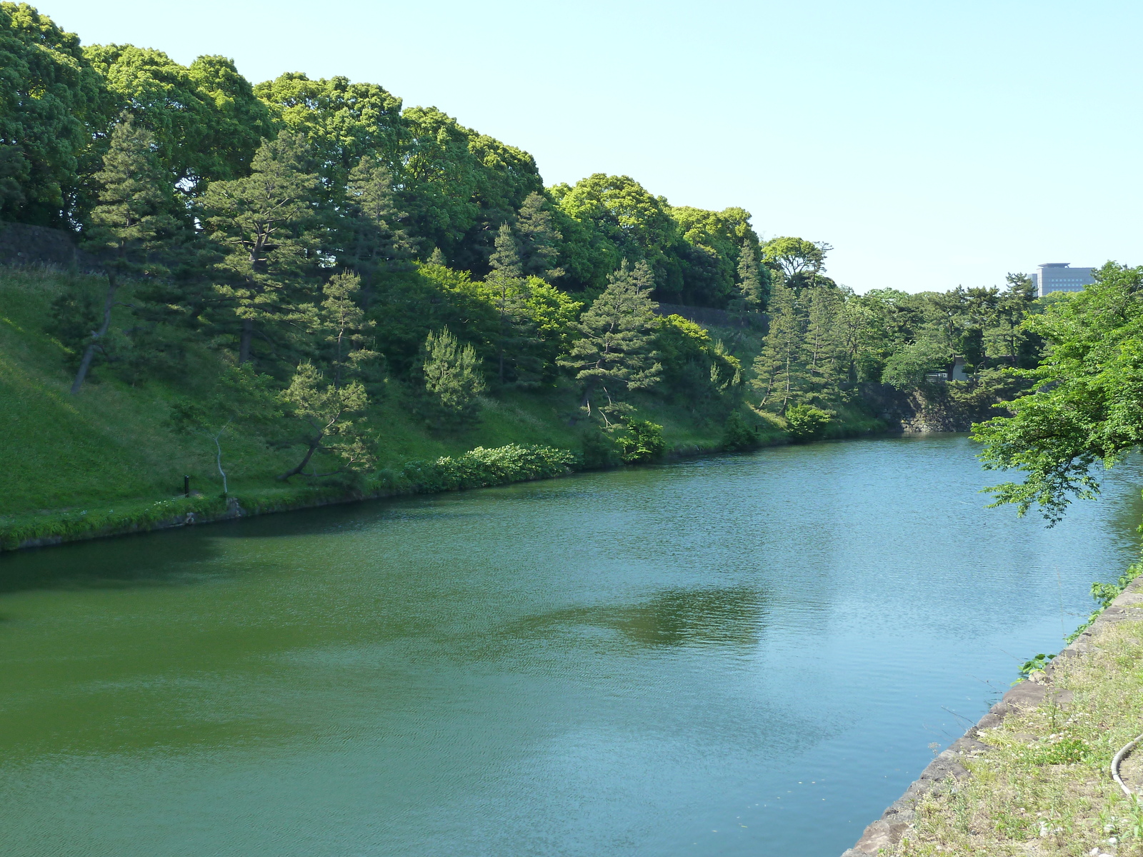 รูปถ่าย ญี่ปุ่น(Japan) โตเกียว(Tokyo) พระราชวังหลวง(Imperial Palace) 2010-06 56