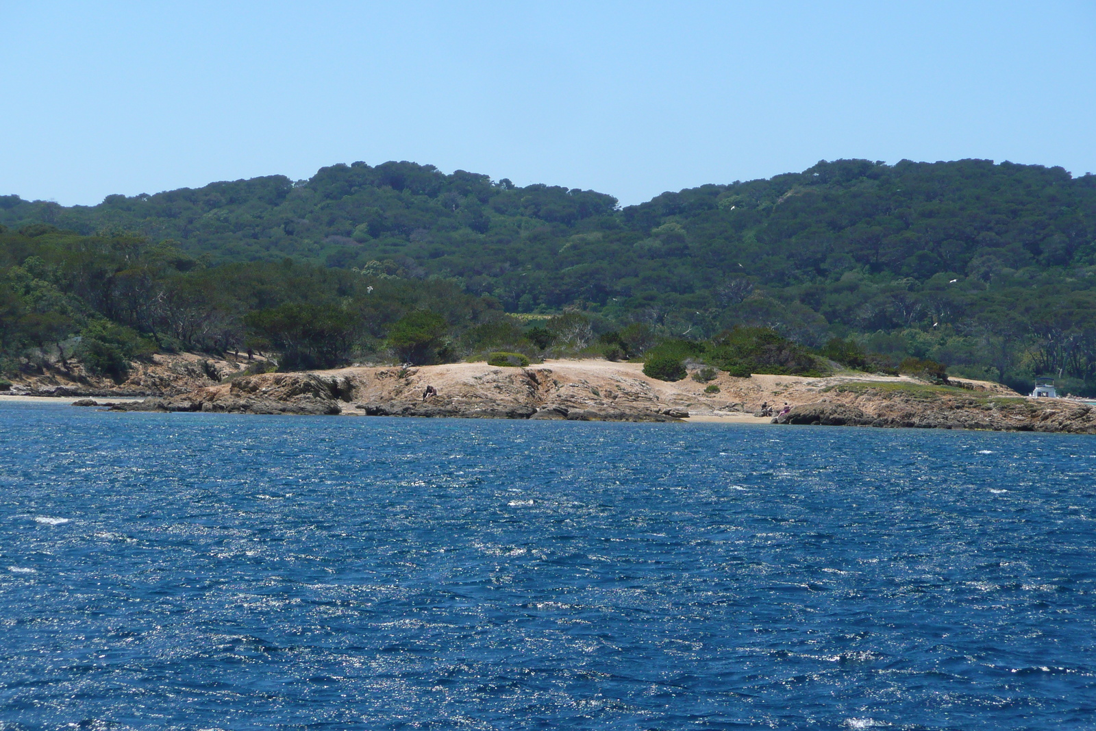 รูปถ่าย ฝรั่งเศส(France) เกาะปอร์เกอรอล(Porquerolles Island) ล่องเรือไปเกาะปอร์เกอรอล(Boat trip to Porquerolles) 2008-05 66