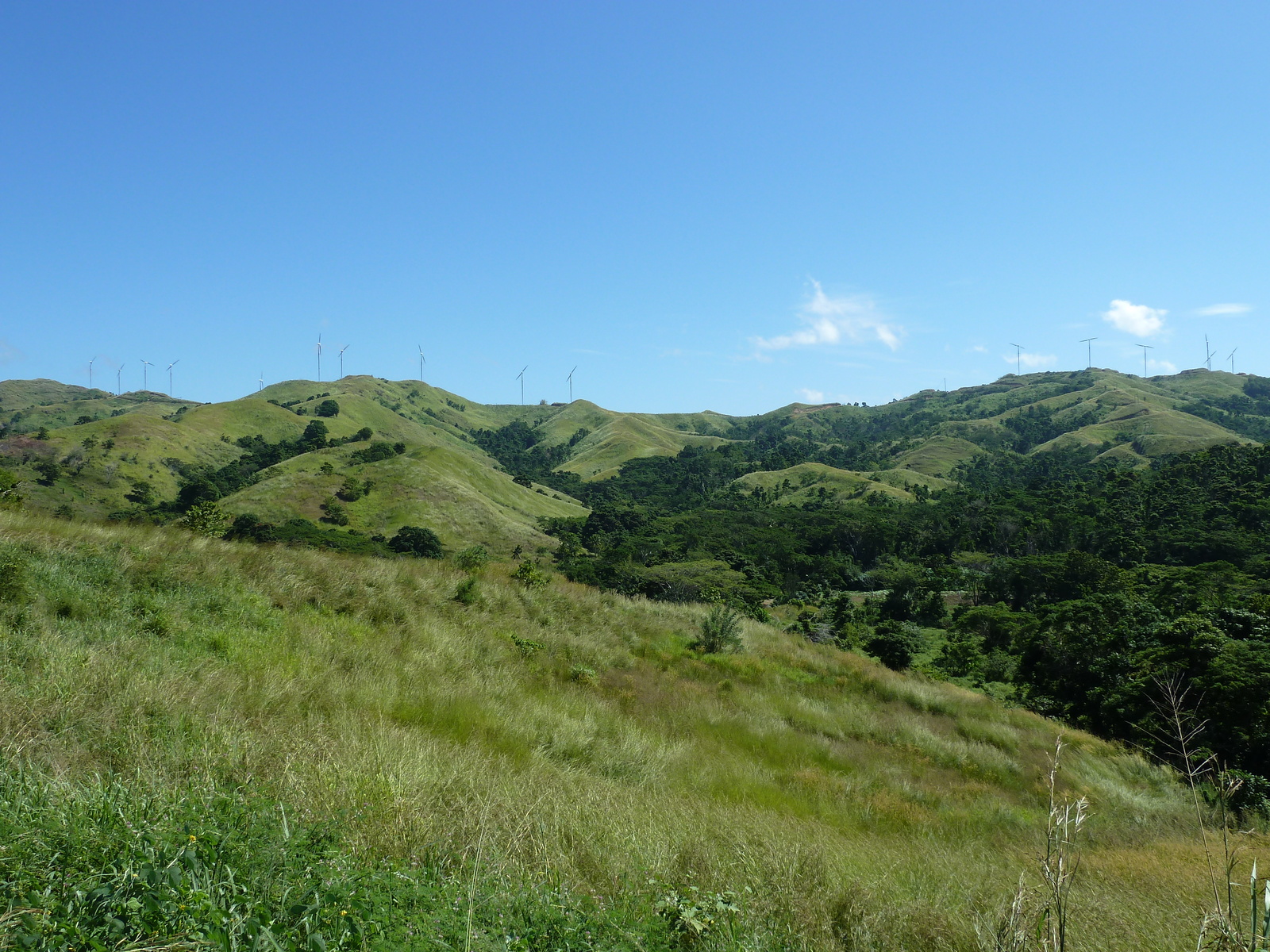 รูปถ่าย ฟิจิ(Fiji) แม่น้ำซิงกาโตกา(Sigatoka river) 2010-05 53