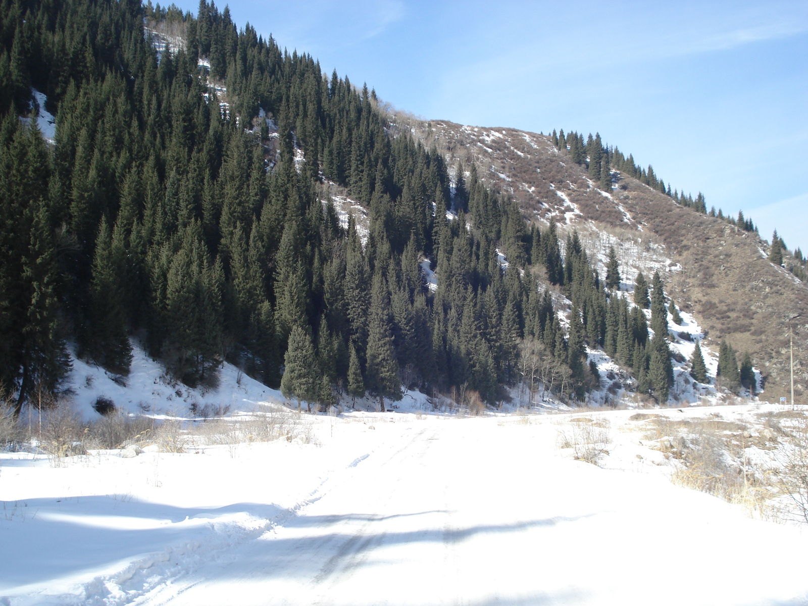 รูปถ่าย คาซัคสถาน(Kazakhstan) อุทยานแห่งชาติอีเลอาลาเตา(Ile Alatau National Park) 2007-03 95