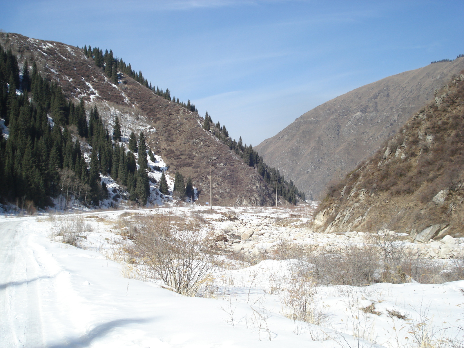 รูปถ่าย คาซัคสถาน(Kazakhstan) อุทยานแห่งชาติอีเลอาลาเตา(Ile Alatau National Park) 2007-03 26
