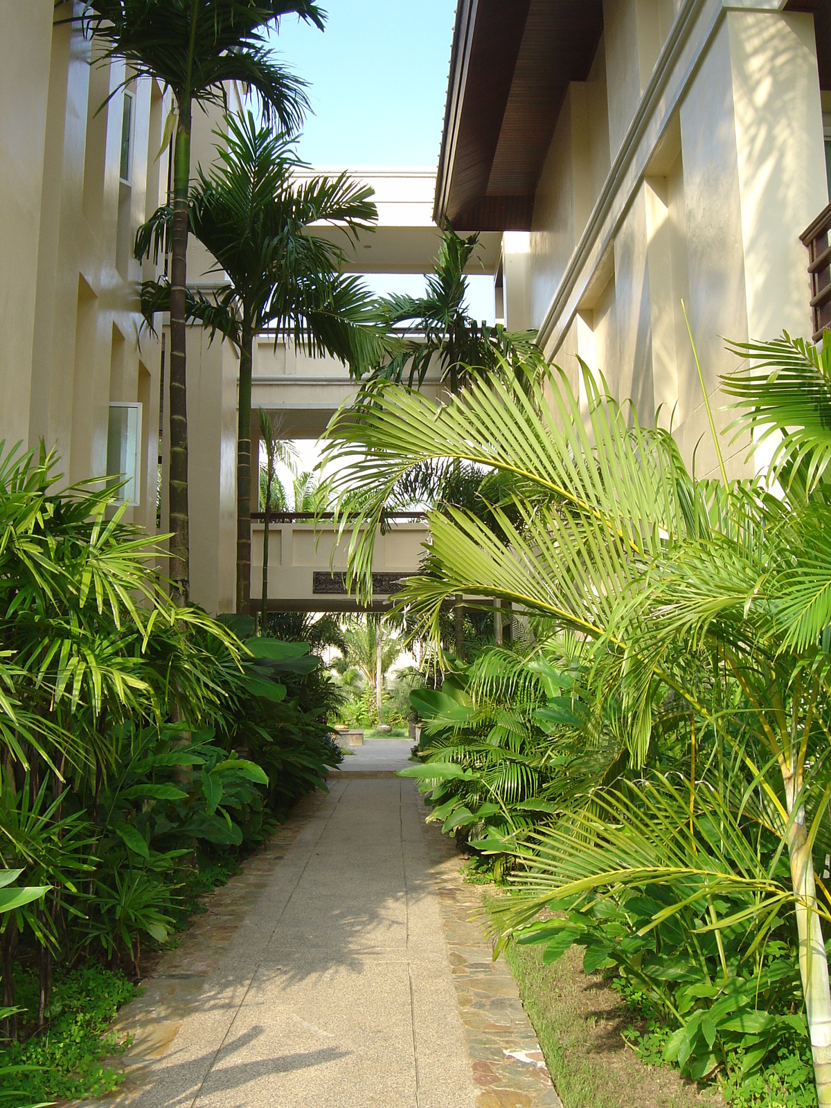 รูปถ่าย ไทย(Thailand) เขาหลัก(Khao Lak) โรงแรมเลอเมอริเดียน เขาหลัก(Meridien Khao Lak Hotel) 2005-12 81
