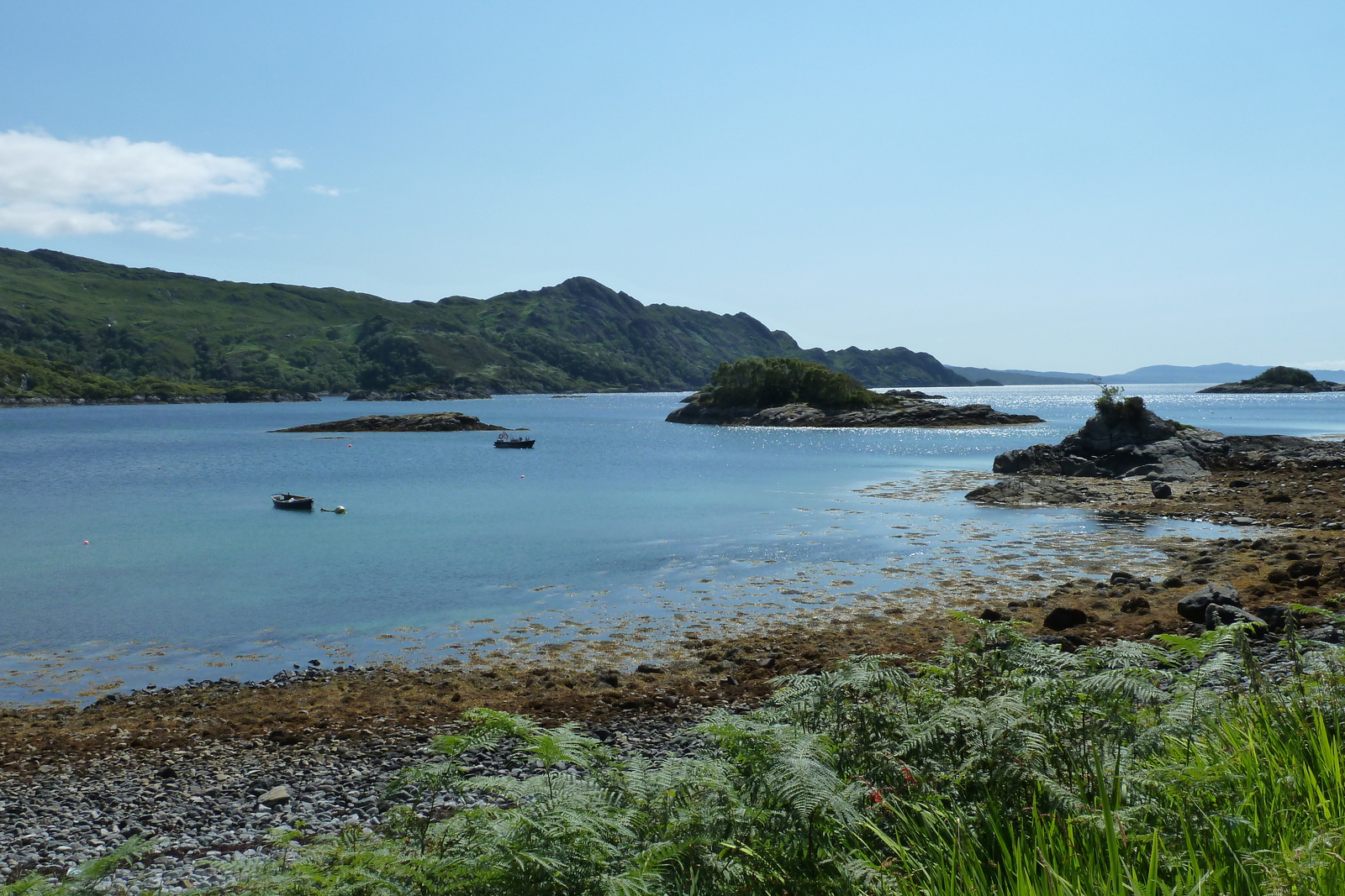 รูปถ่าย อังกฤษ(United Kingdom) สกอตแลนด์(Scotland) เซเลน(Salen) 2011-07 88