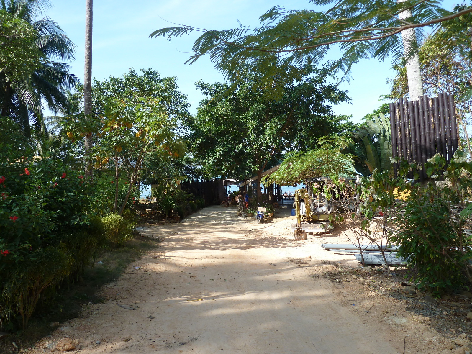 รูปถ่าย ไทย(Thailand) เกาะช้าง(Ko Chang) 2011-12 146