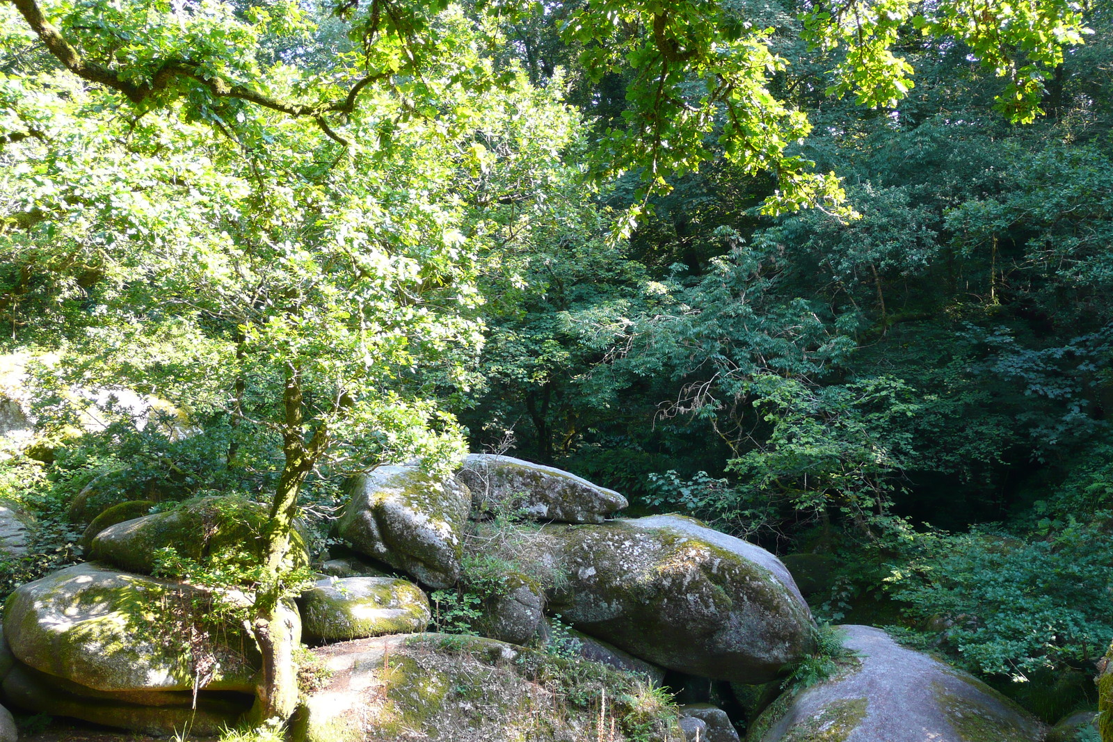 รูปถ่าย ฝรั่งเศส(France) อูแอลโกแอท(Huelgoat) 2007-08 34