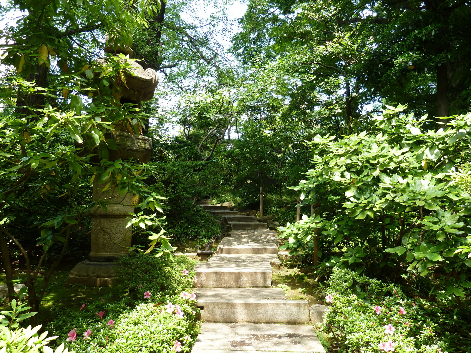 รูปถ่าย ญี่ปุ่น(Japan) โตเกียว(Tokyo) พิพิธภัณฑ์เนซุ(Nezu Museum) 2010-06 21