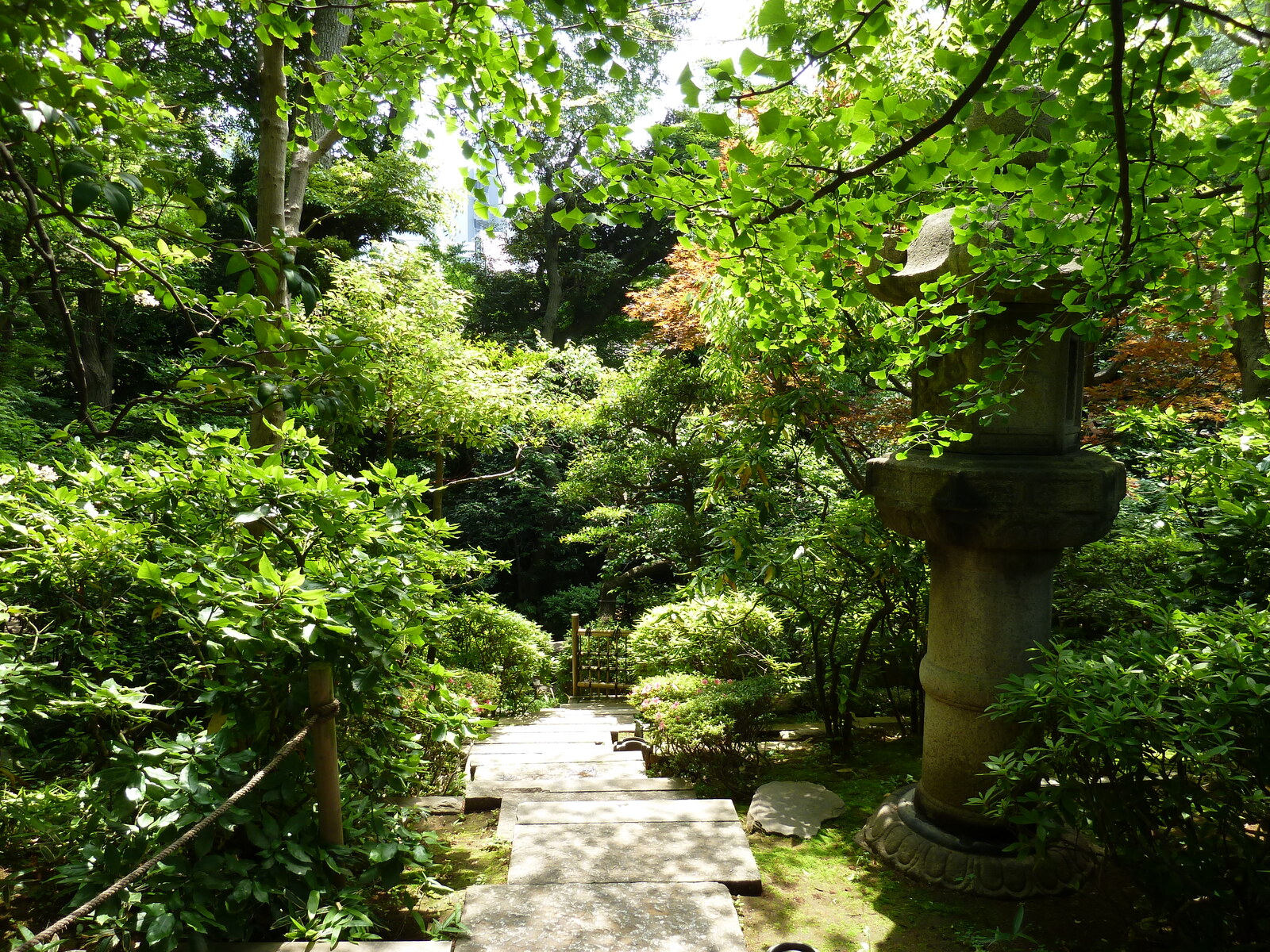 รูปถ่าย ญี่ปุ่น(Japan) โตเกียว(Tokyo) พิพิธภัณฑ์เนซุ(Nezu Museum) 2010-06 23