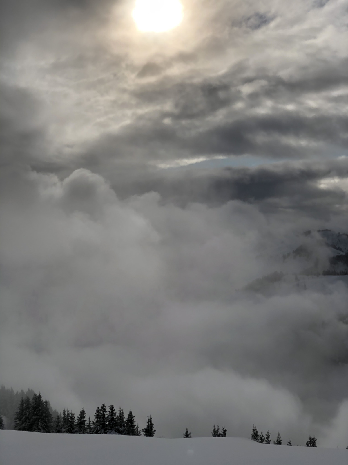 รูปถ่าย ฝรั่งเศส(France) ปรา-ซูร์-อาร์ลี(Praz sur Arly) 2019-12 119