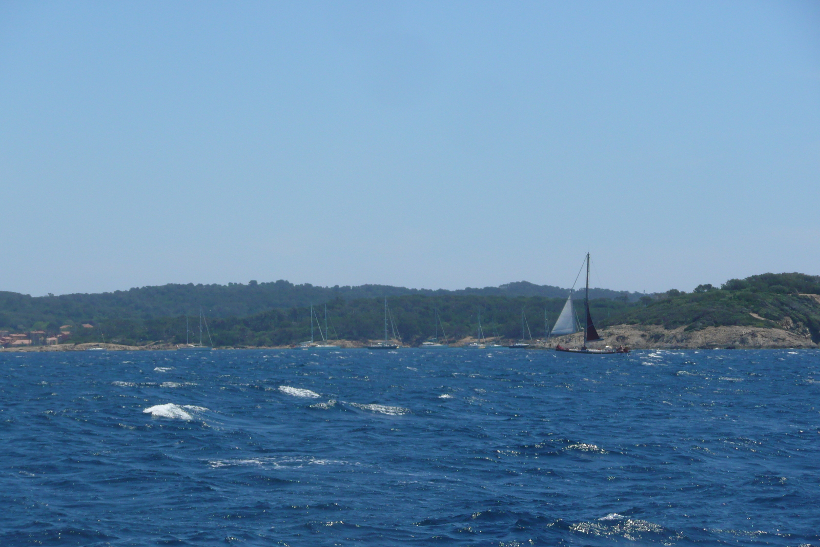 รูปถ่าย ฝรั่งเศส(France) เกาะปอร์เกอรอล(Porquerolles Island) ล่องเรือไปเกาะปอร์เกอรอล(Boat trip to Porquerolles) 2008-05 3