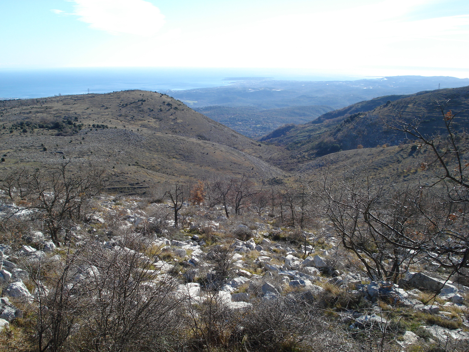 รูปถ่าย ฝรั่งเศส(France) เฟรนช์ริวิเอรา(French Riviera) ถนนช่องเขาเดอว็องส์(Col de Vence road) 2007-01 47