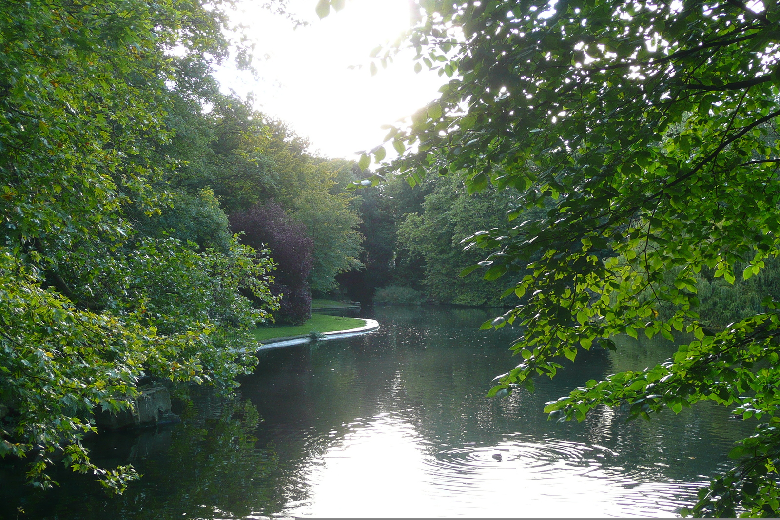 รูปถ่าย ไอร์แลนด์(Ireland) ดับลิน(Dublin) สวนเซนต์สตีเฟนส์กรีน(St. Stephen's Green) 2008-09 40