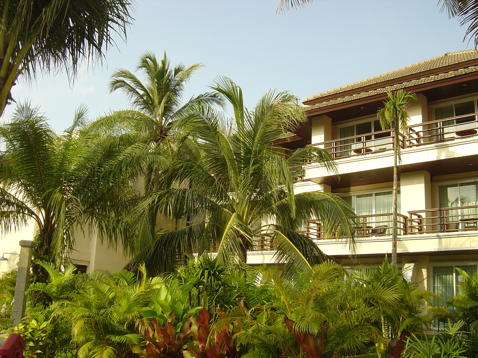รูปถ่าย ไทย(Thailand) เขาหลัก(Khao Lak) โรงแรมเลอเมอริเดียน เขาหลัก(Meridien Khao Lak Hotel) 2005-12 316