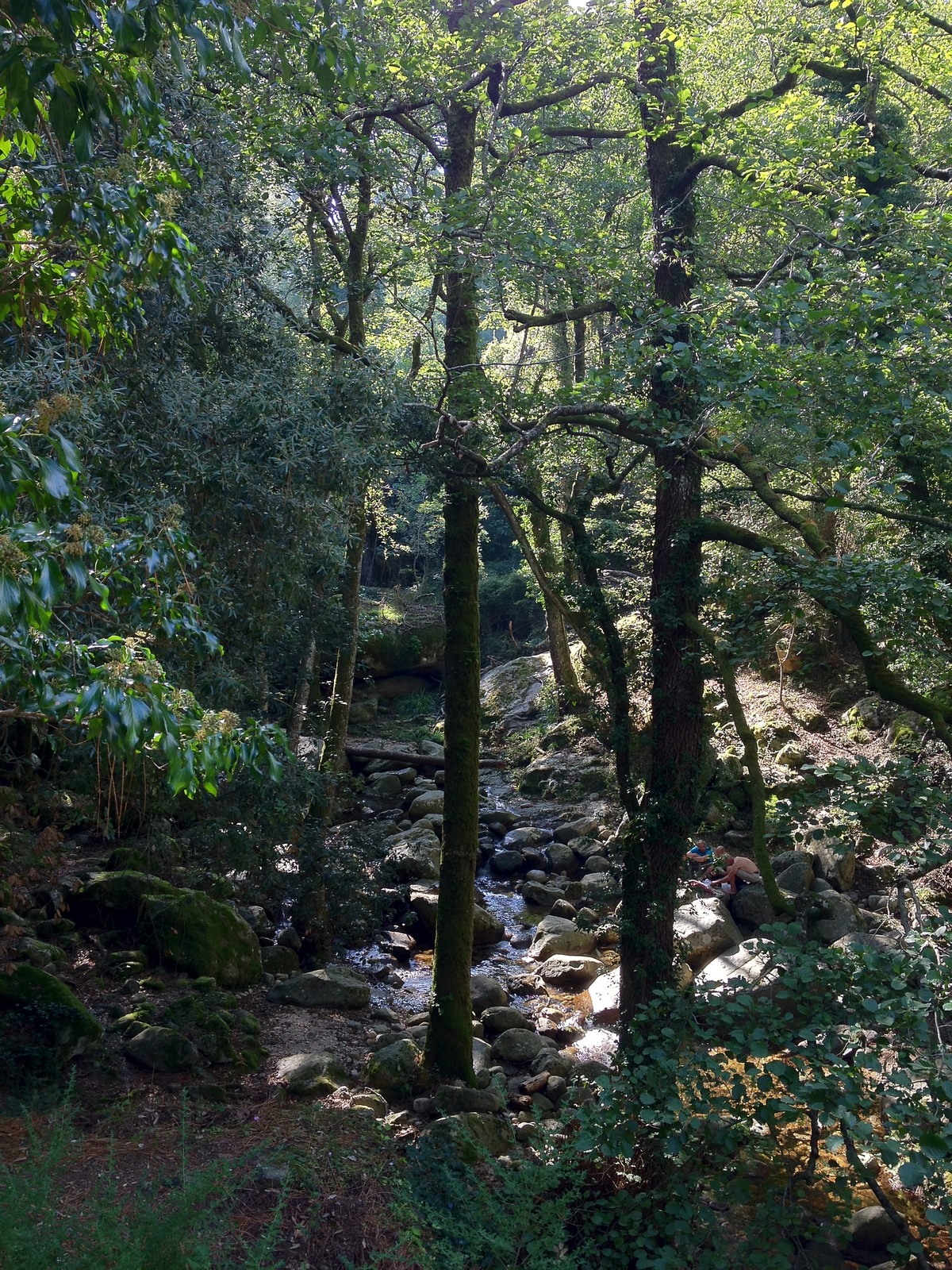 รูปถ่าย ฝรั่งเศส(France) คอร์สิคา(Corsica) บาแวลลา(Bavella) 2012-09 22