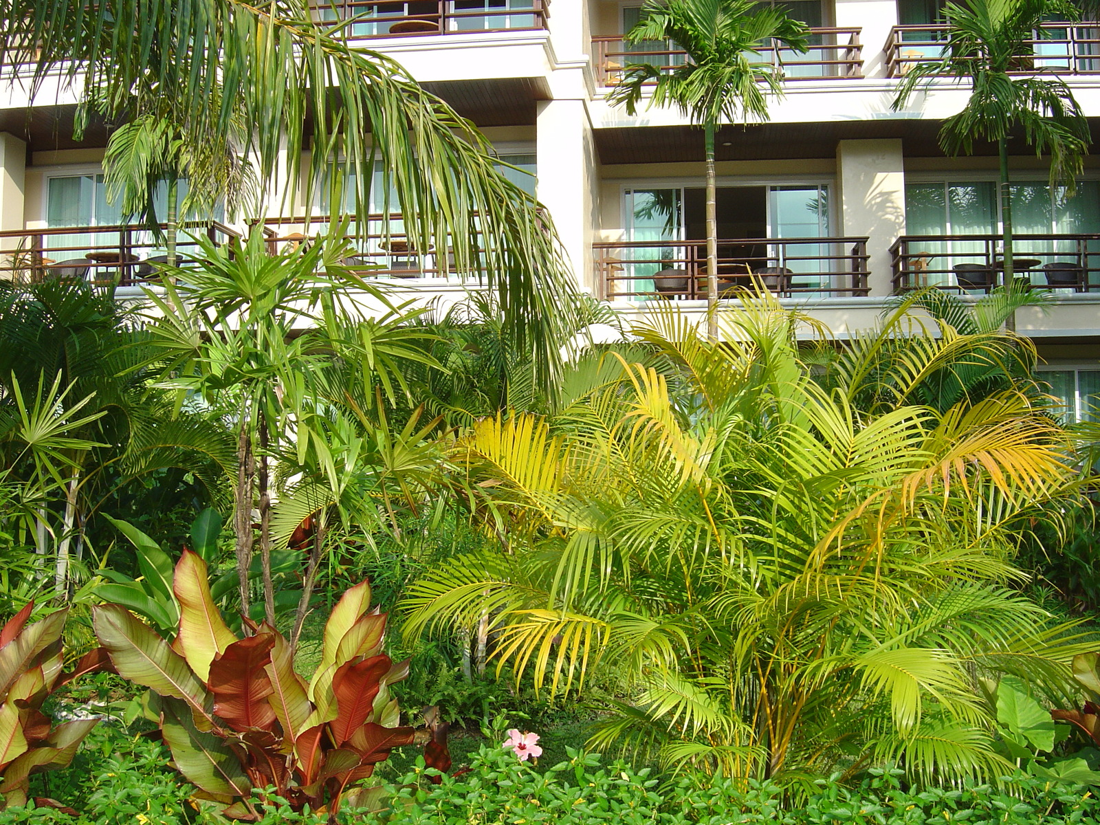 รูปถ่าย ไทย(Thailand) เขาหลัก(Khao Lak) โรงแรมเลอเมอริเดียน เขาหลัก(Meridien Khao Lak Hotel) 2005-12 347