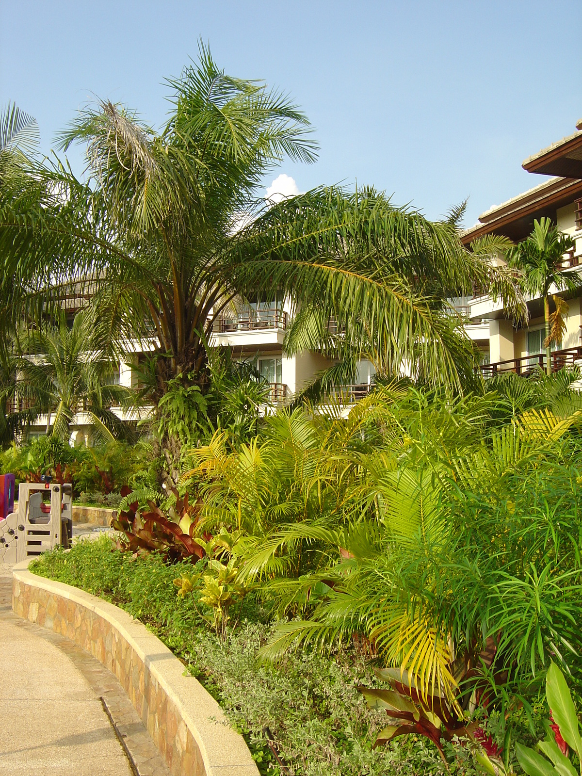 รูปถ่าย ไทย(Thailand) เขาหลัก(Khao Lak) โรงแรมเลอเมอริเดียน เขาหลัก(Meridien Khao Lak Hotel) 2005-12 291