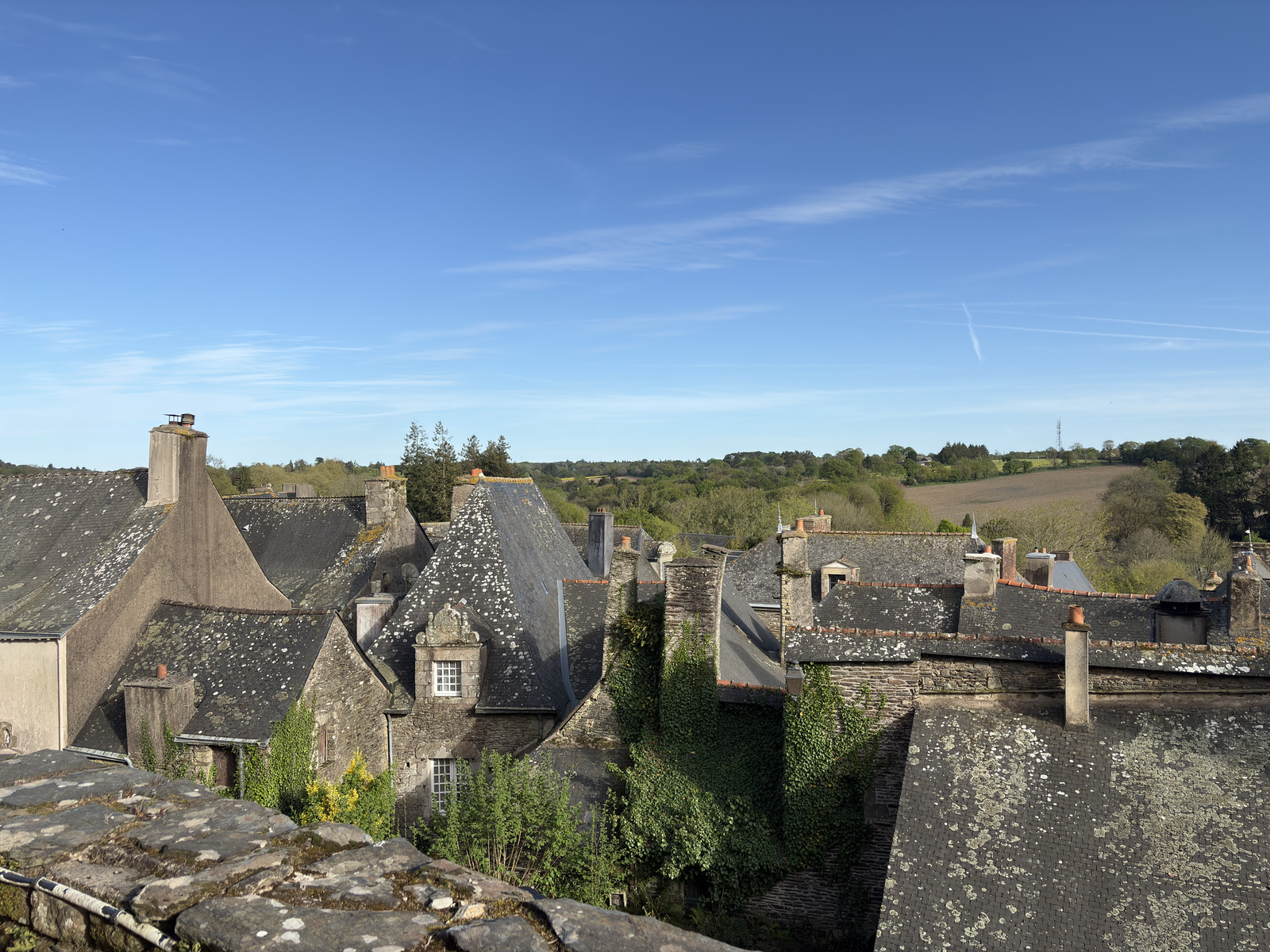 รูปถ่าย ฝรั่งเศส(France) รอชฟอร์-อ็อง-แตร์(Rochefort en terre) 2026-04 64