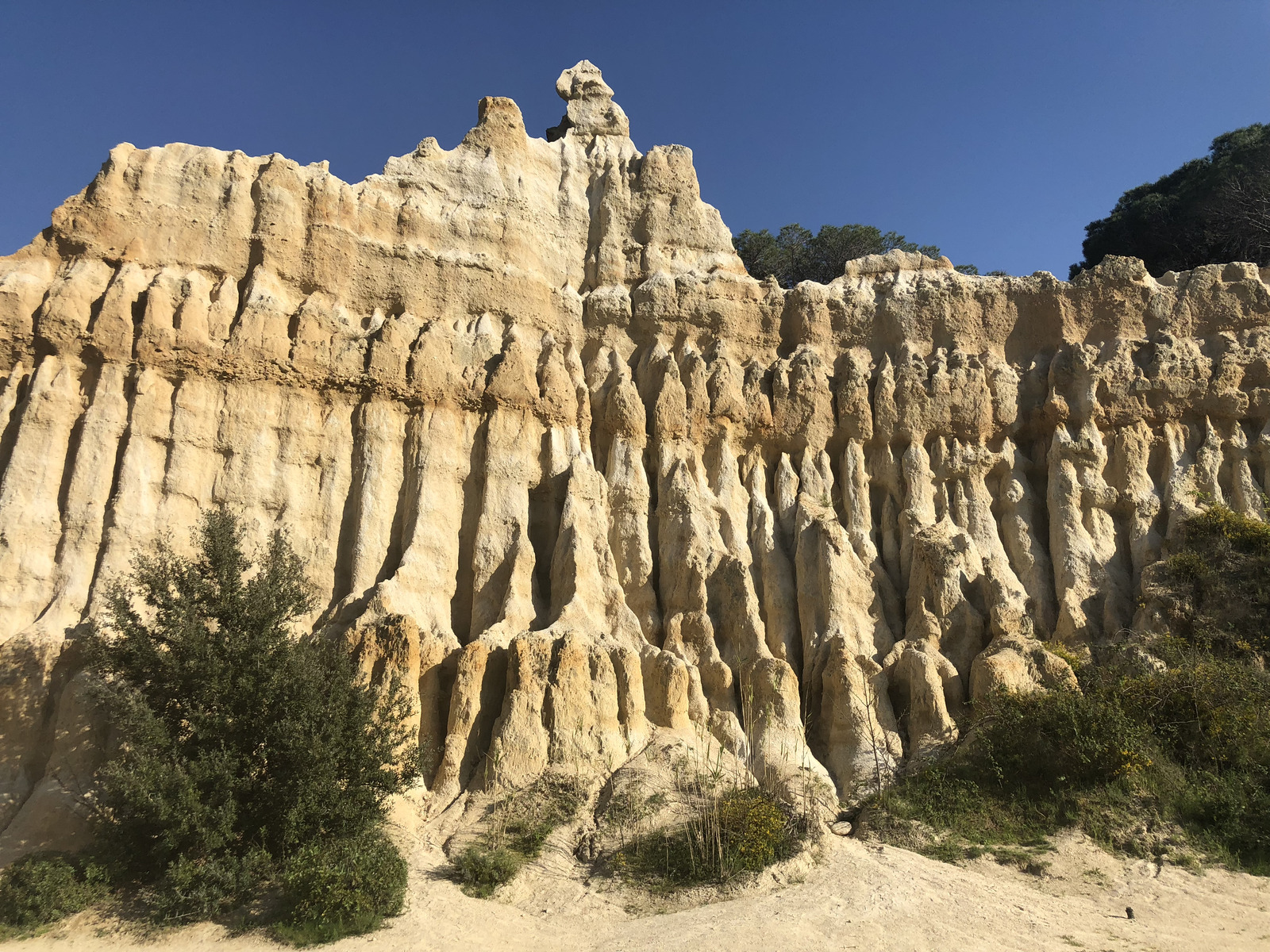 รูปถ่าย ฝรั่งเศส(France) เสาหินออร์กดีล-ซูร์-แต็ต(Orgues d'Ille Sur Tet) 2018-04 54