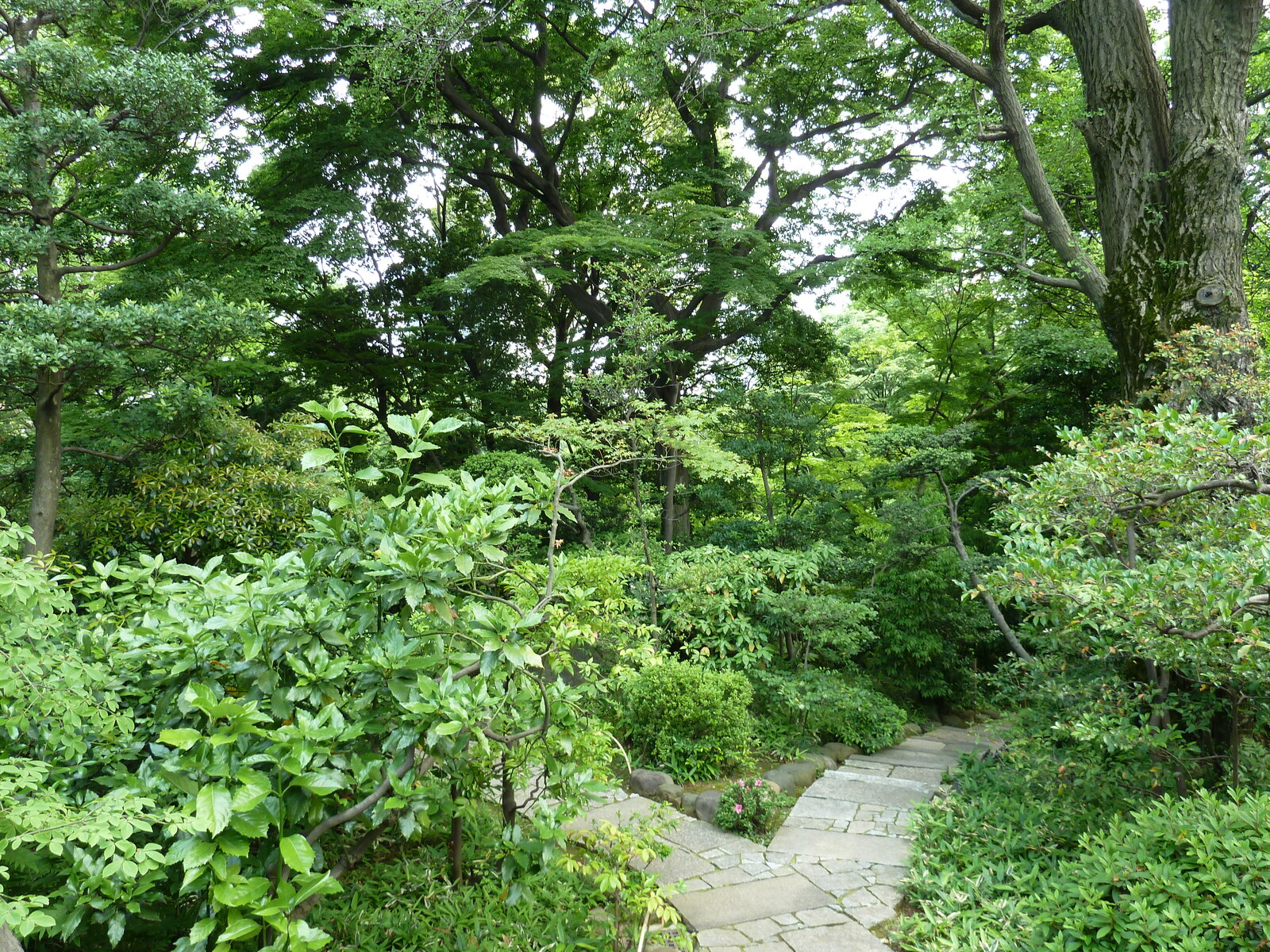 รูปถ่าย ญี่ปุ่น(Japan) โตเกียว(Tokyo) พิพิธภัณฑ์เนซุ(Nezu Museum) 2010-06 12