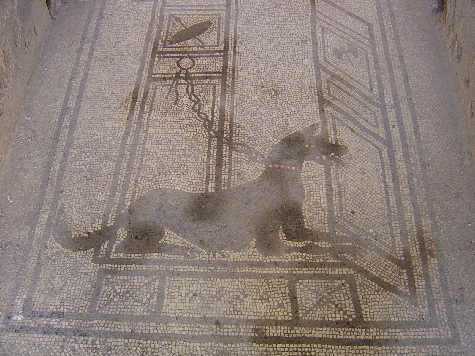 รูปถ่าย อิตาลี(Italy) ปอมเปอี(Pompeii) 2004-11 21