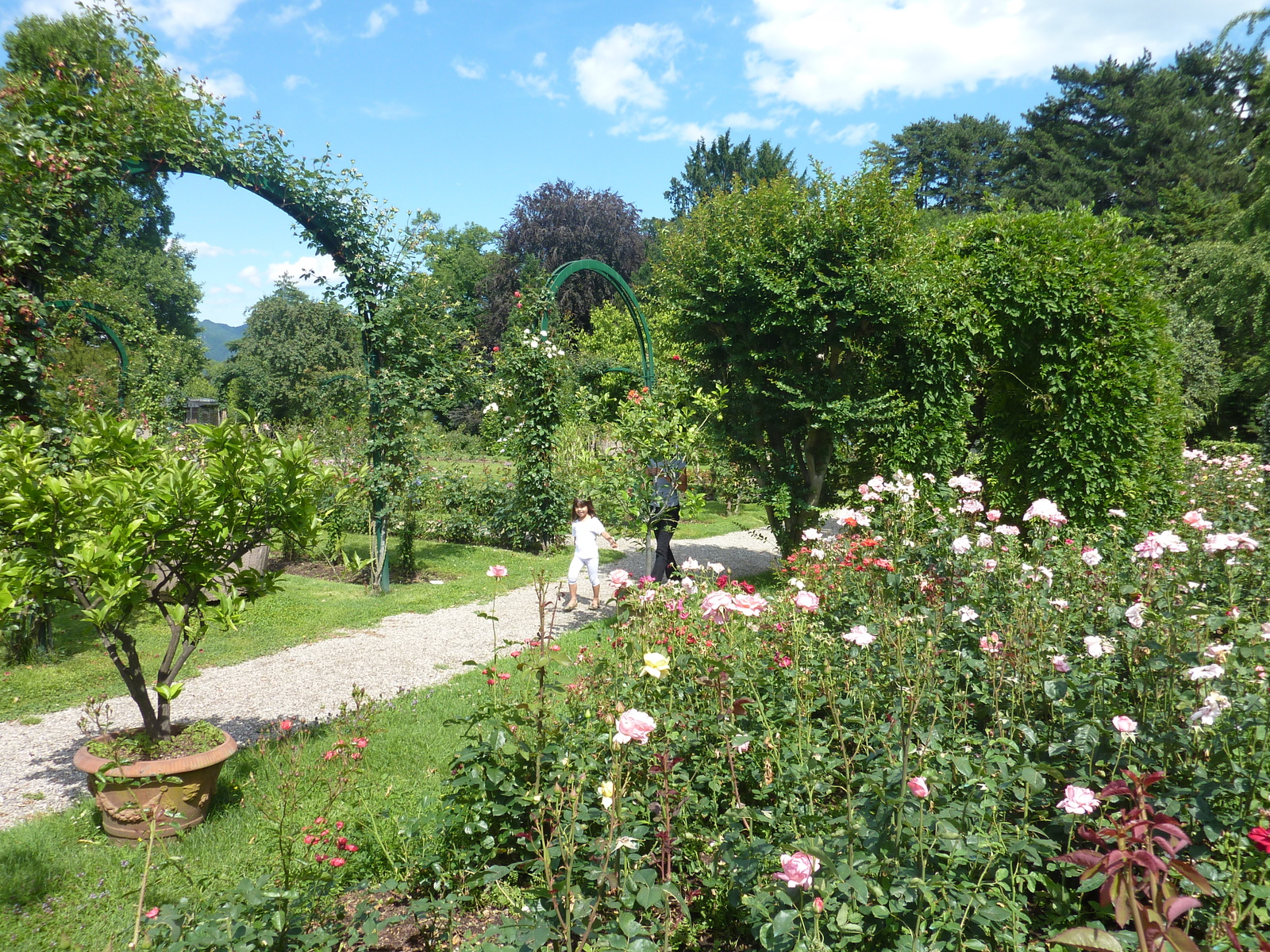รูปถ่าย อิตาลี(Italy) วิลลาปัลลาวีชีโน(Villa Pallavicino) 2009-06 118