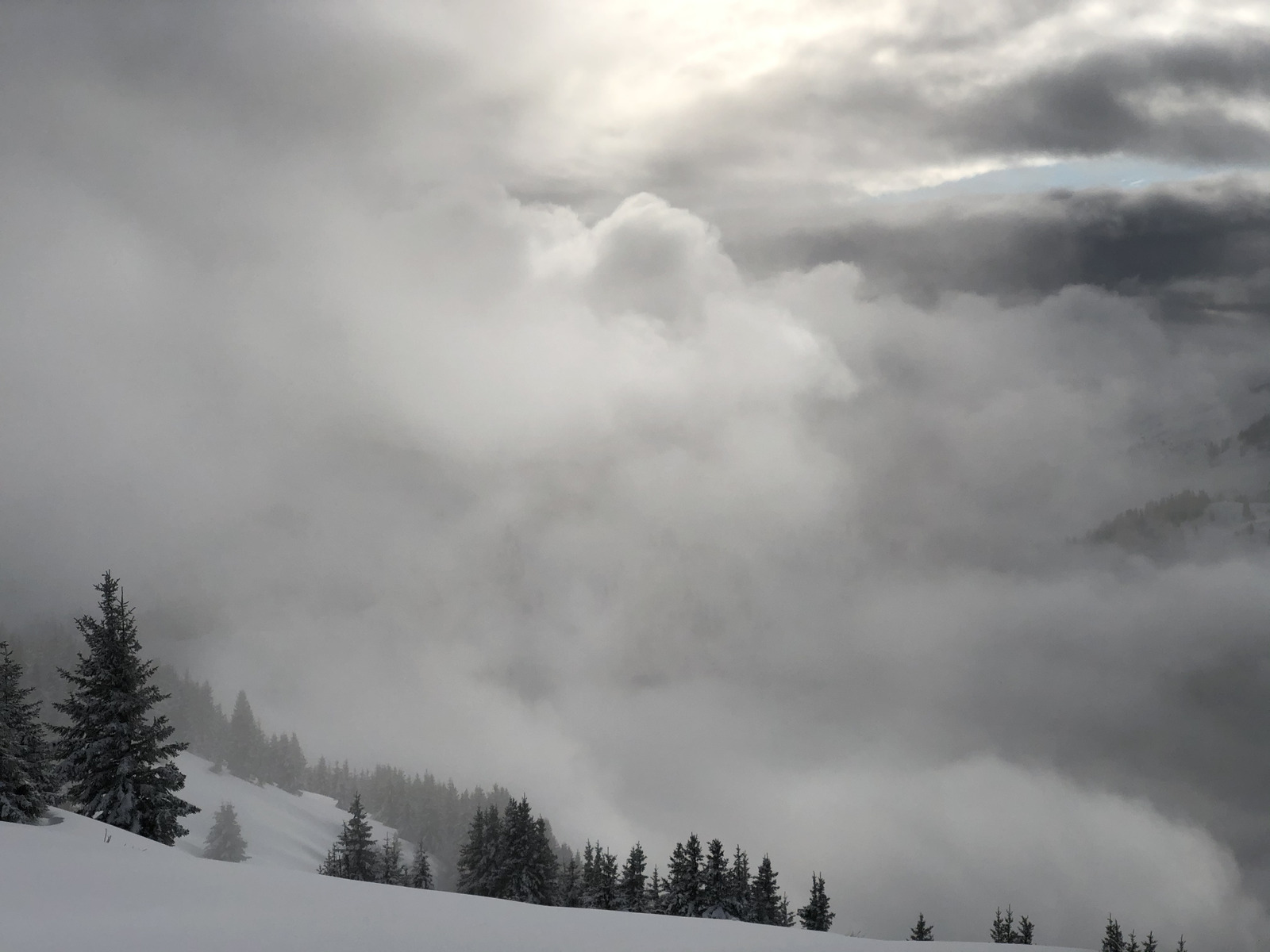 รูปถ่าย ฝรั่งเศส(France) ปรา-ซูร์-อาร์ลี(Praz sur Arly) 2019-12 463