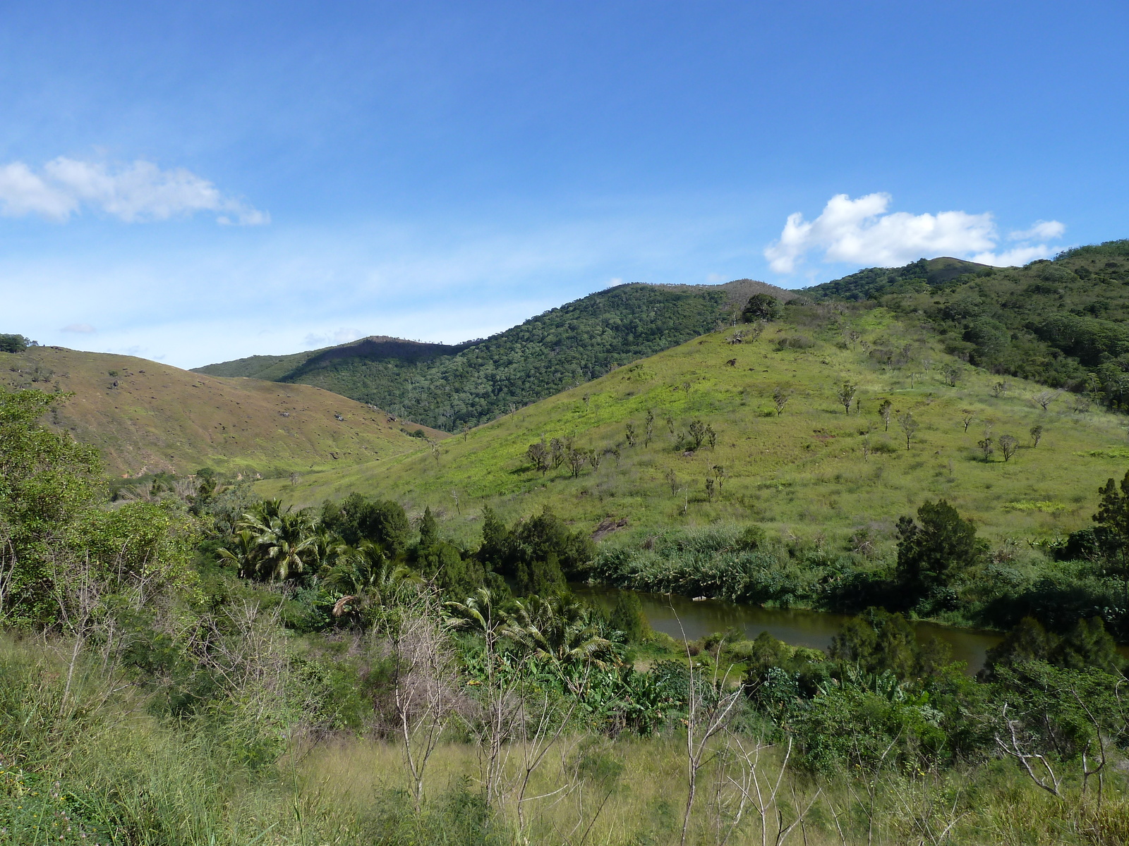 รูปถ่าย นิวแคลิโดเนีย(New Caledonia) 2010-05 10