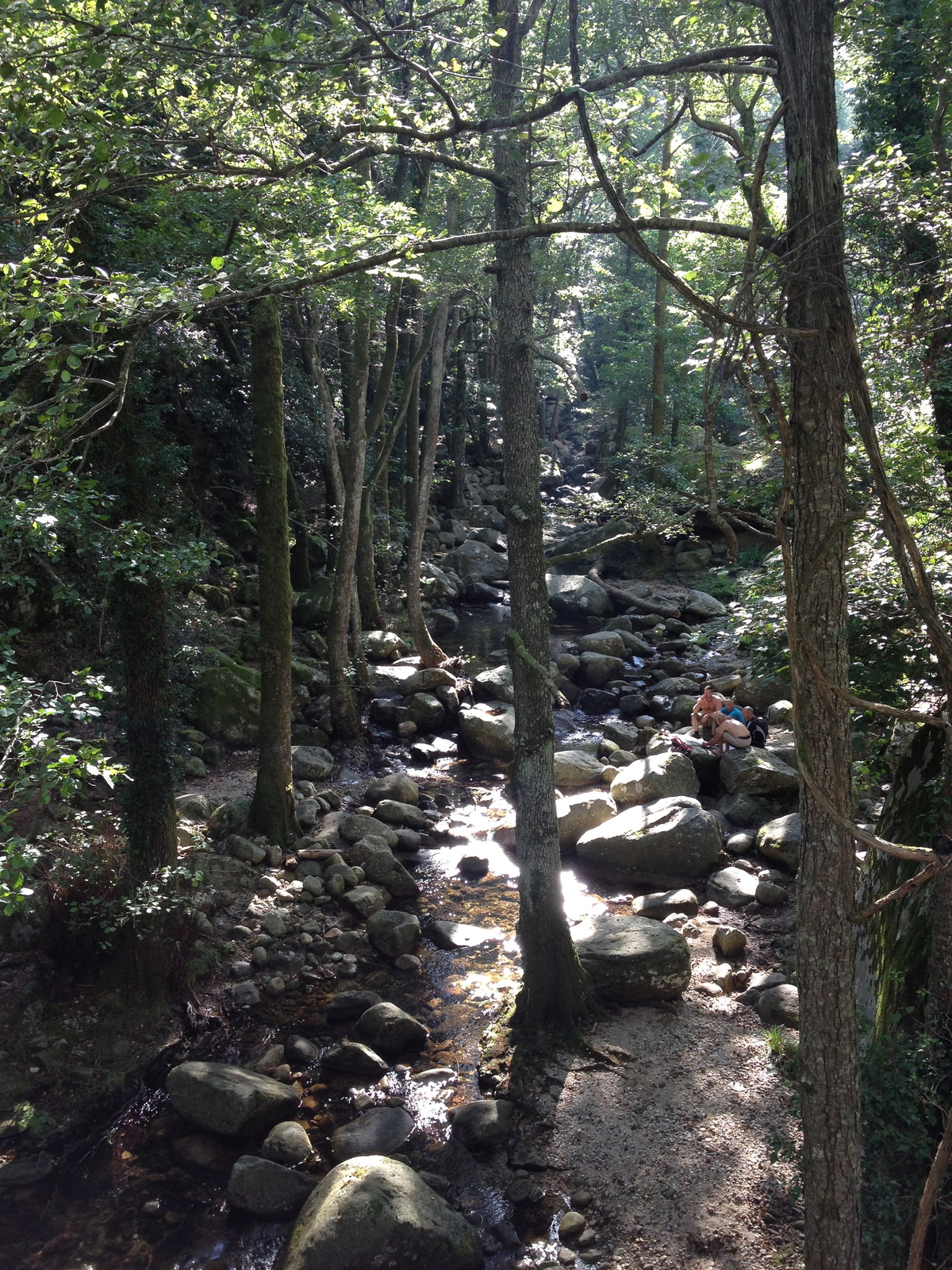 รูปถ่าย ฝรั่งเศส(France) คอร์สิคา(Corsica) บาแวลลา(Bavella) 2012-09 37