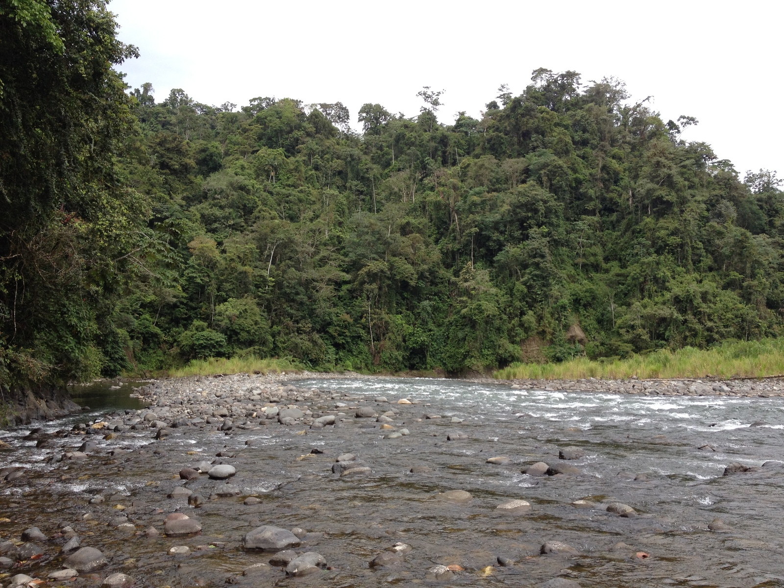 รูปถ่าย คอสตาริกา(Costa Rica) แม่น้ำปากัวเร(Pacuare River) 2015-03 166